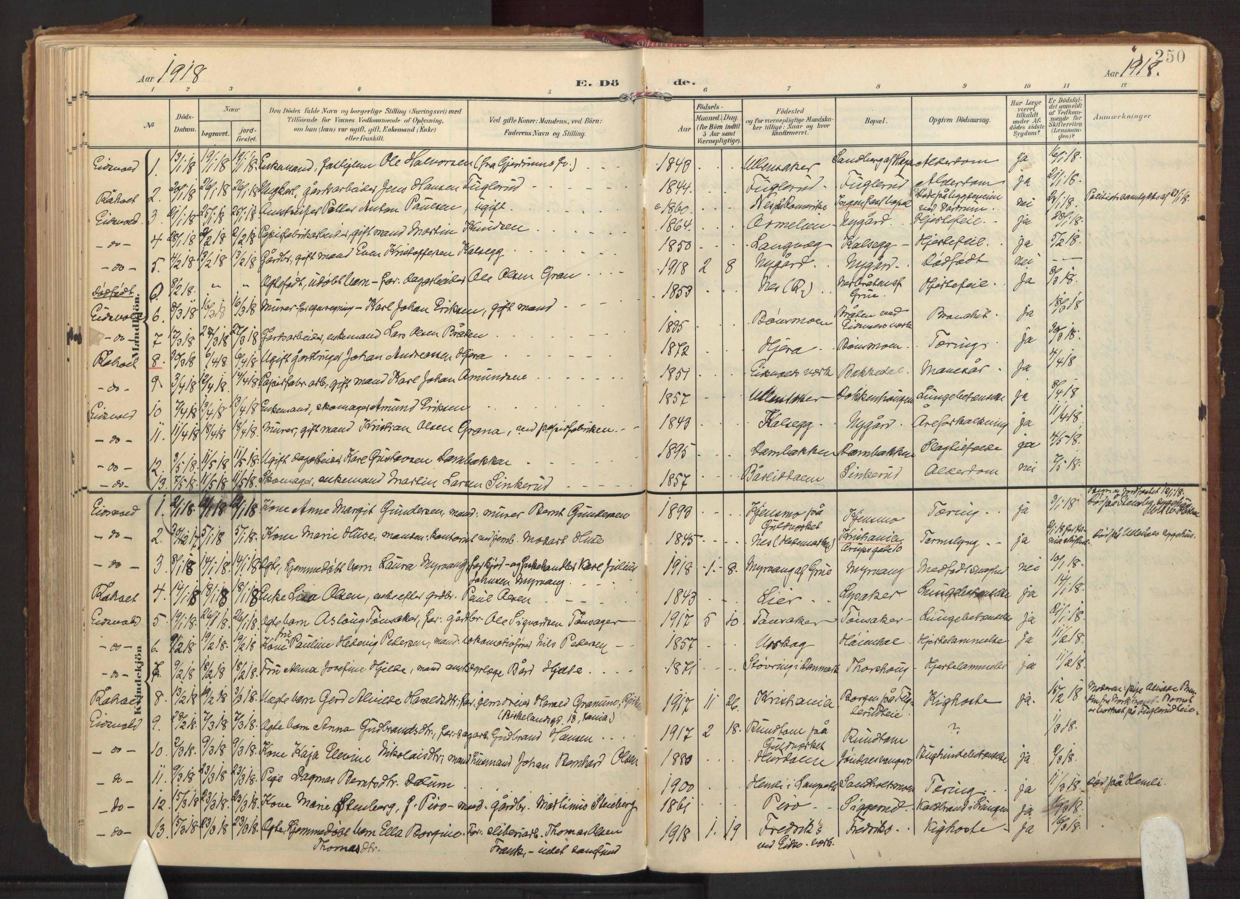 Eidsvoll prestekontor Kirkebøker, AV/SAO-A-10888/F/Fa/L0008: Parish register (official) no. I 8, 1908-1920, p. 250