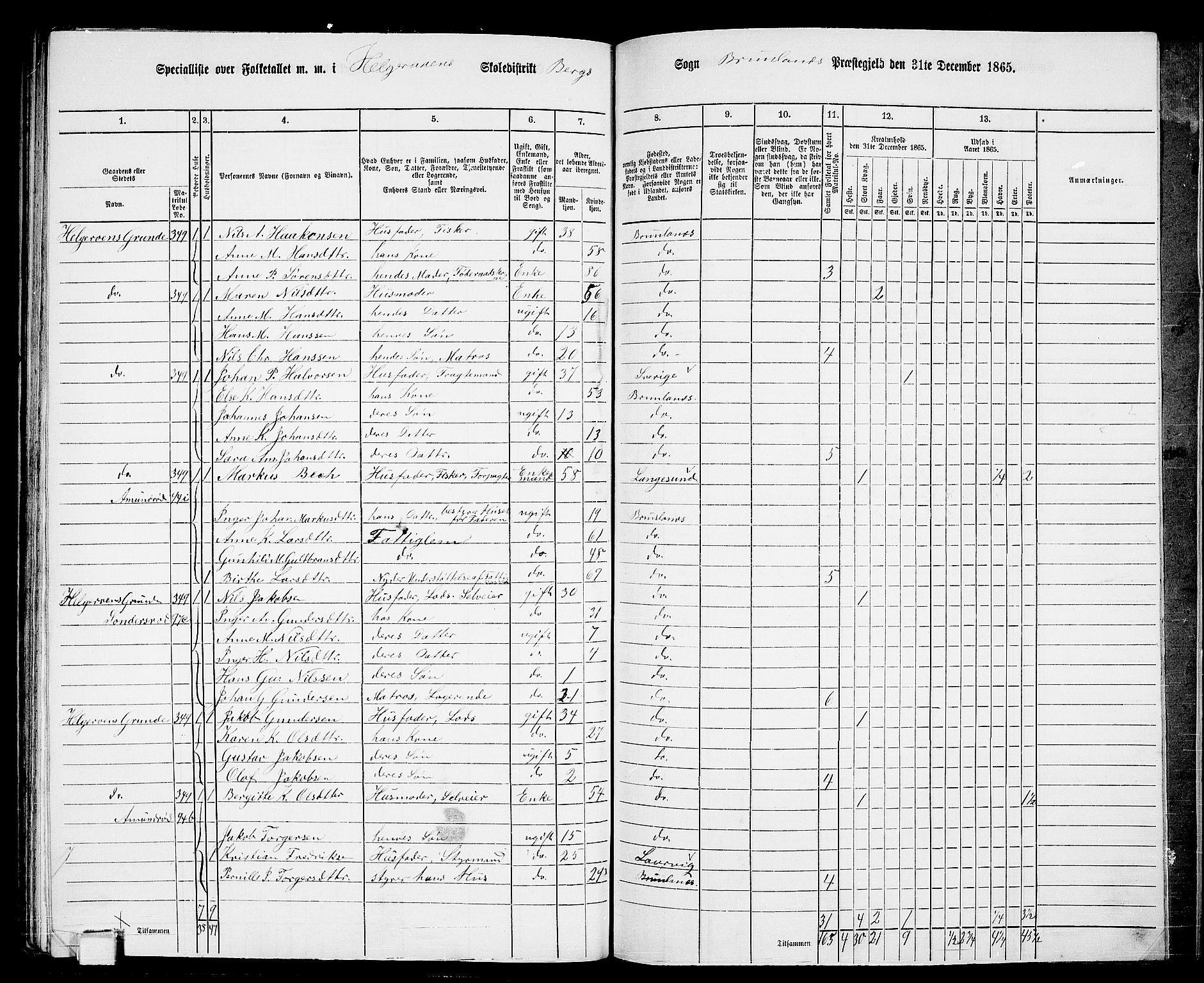 RA, 1865 census for Brunlanes, 1865, p. 165