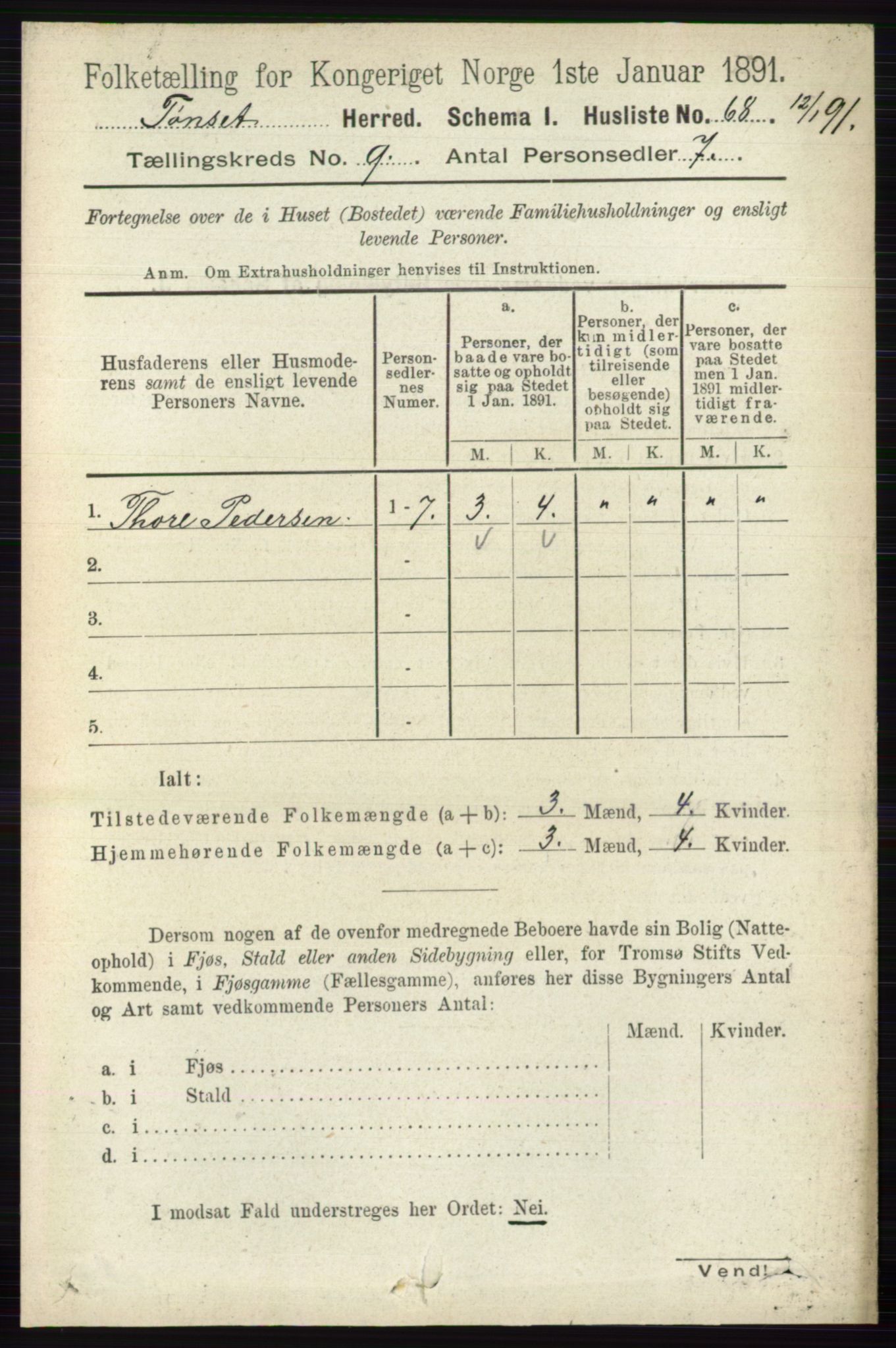 RA, 1891 census for 0437 Tynset, 1891, p. 2417