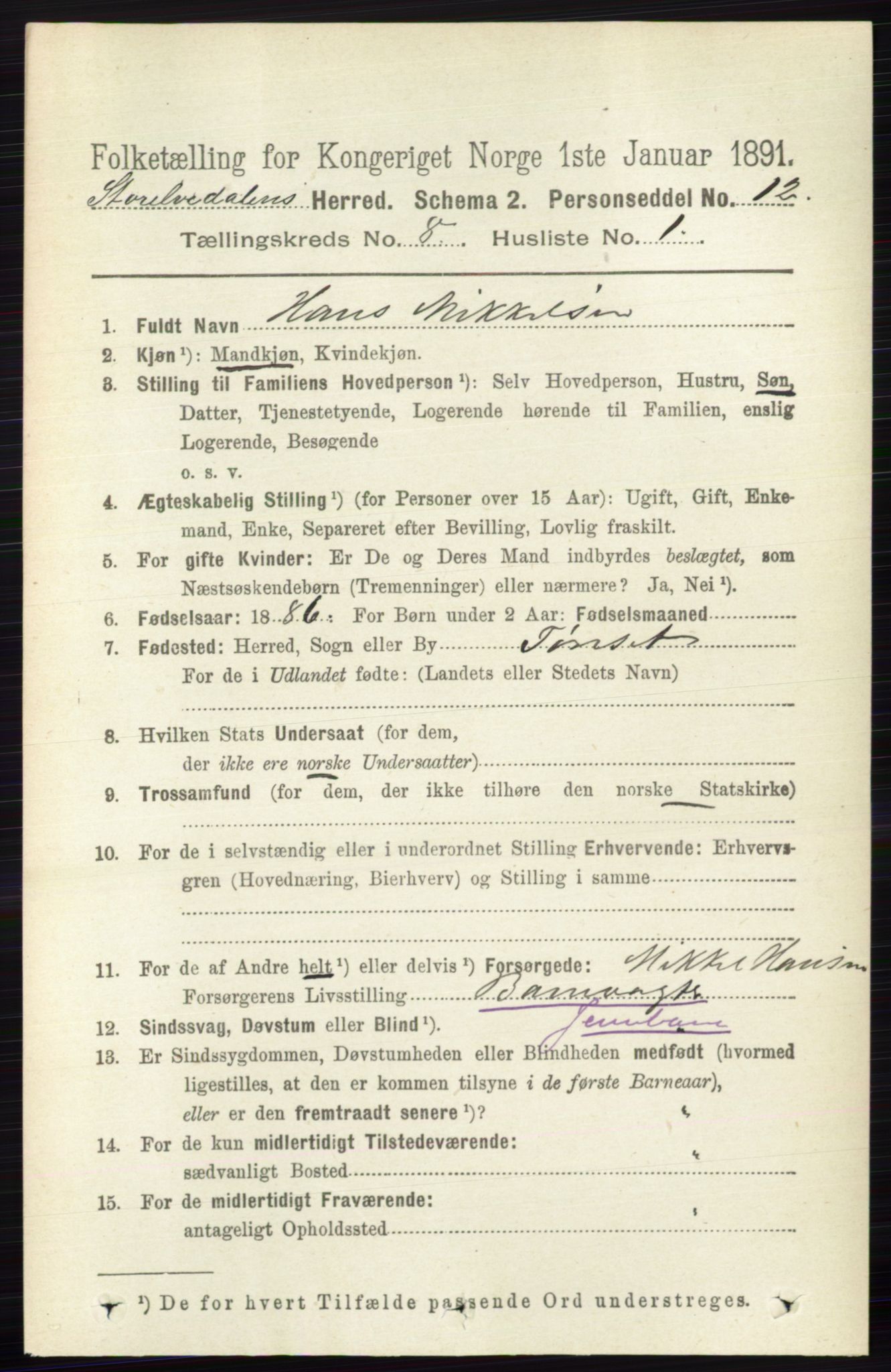 RA, 1891 census for 0430 Stor-Elvdal, 1891, p. 3454