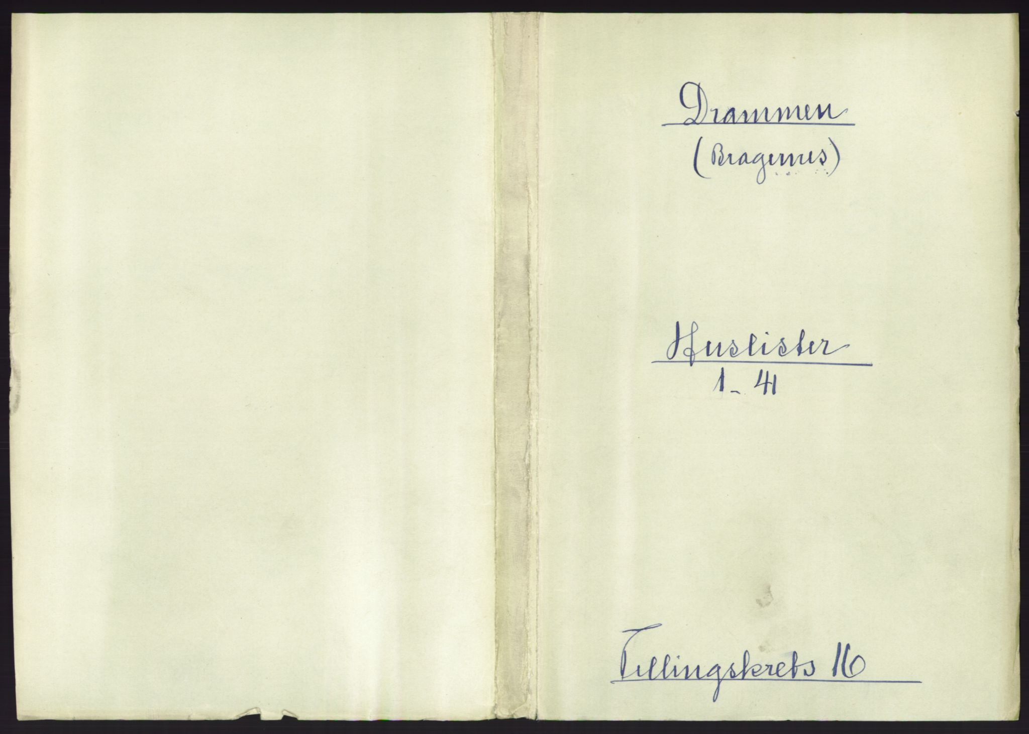 RA, 1891 census for 0602 Drammen, 1891, p. 1315