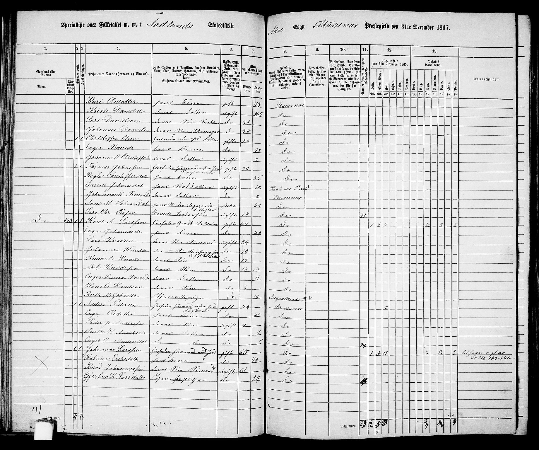 RA, 1865 census for Skudenes, 1865, p. 79