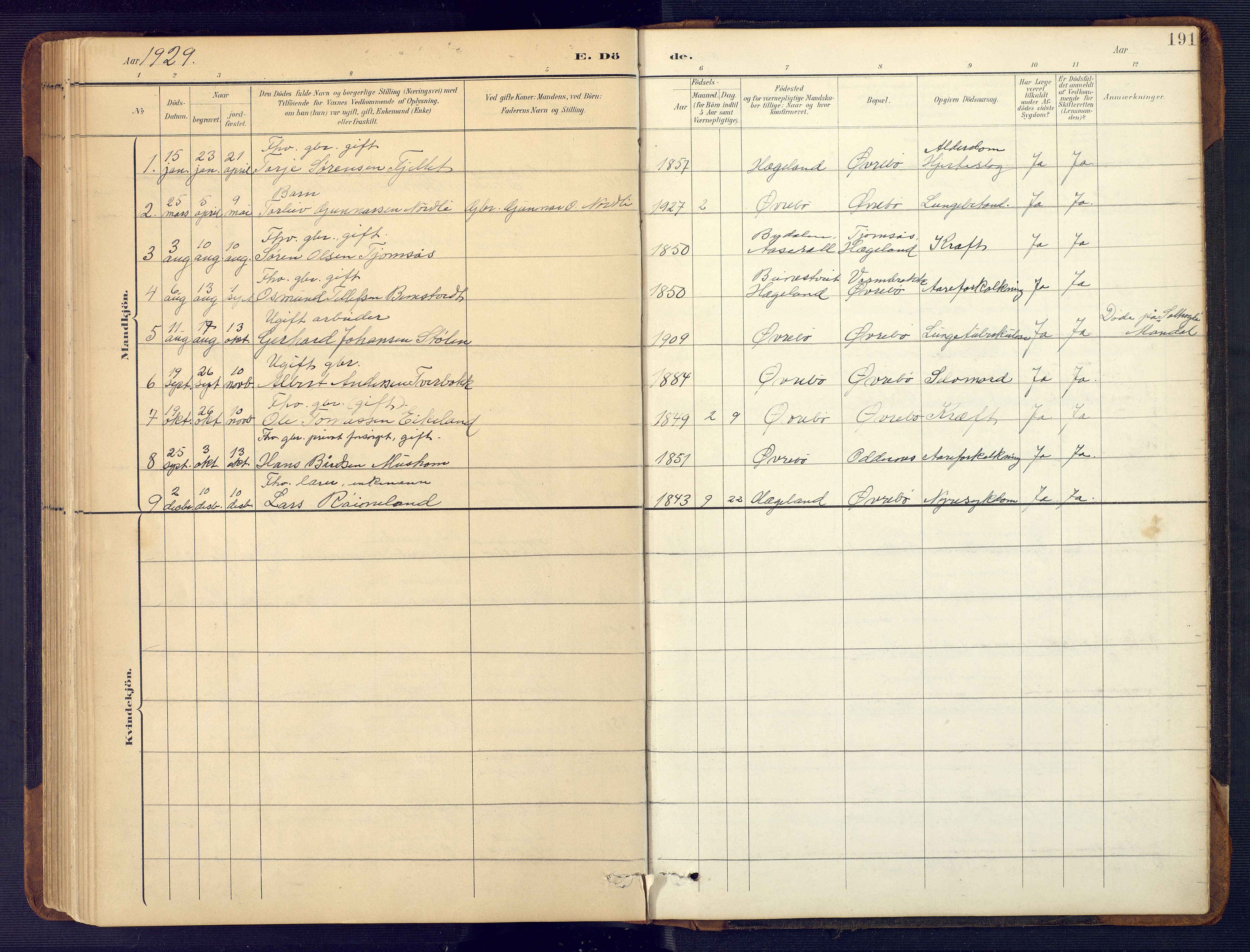 Vennesla sokneprestkontor, SAK/1111-0045/Fb/Fbc/L0003: Parish register (copy) no. B 3, 1895-1946, p. 191