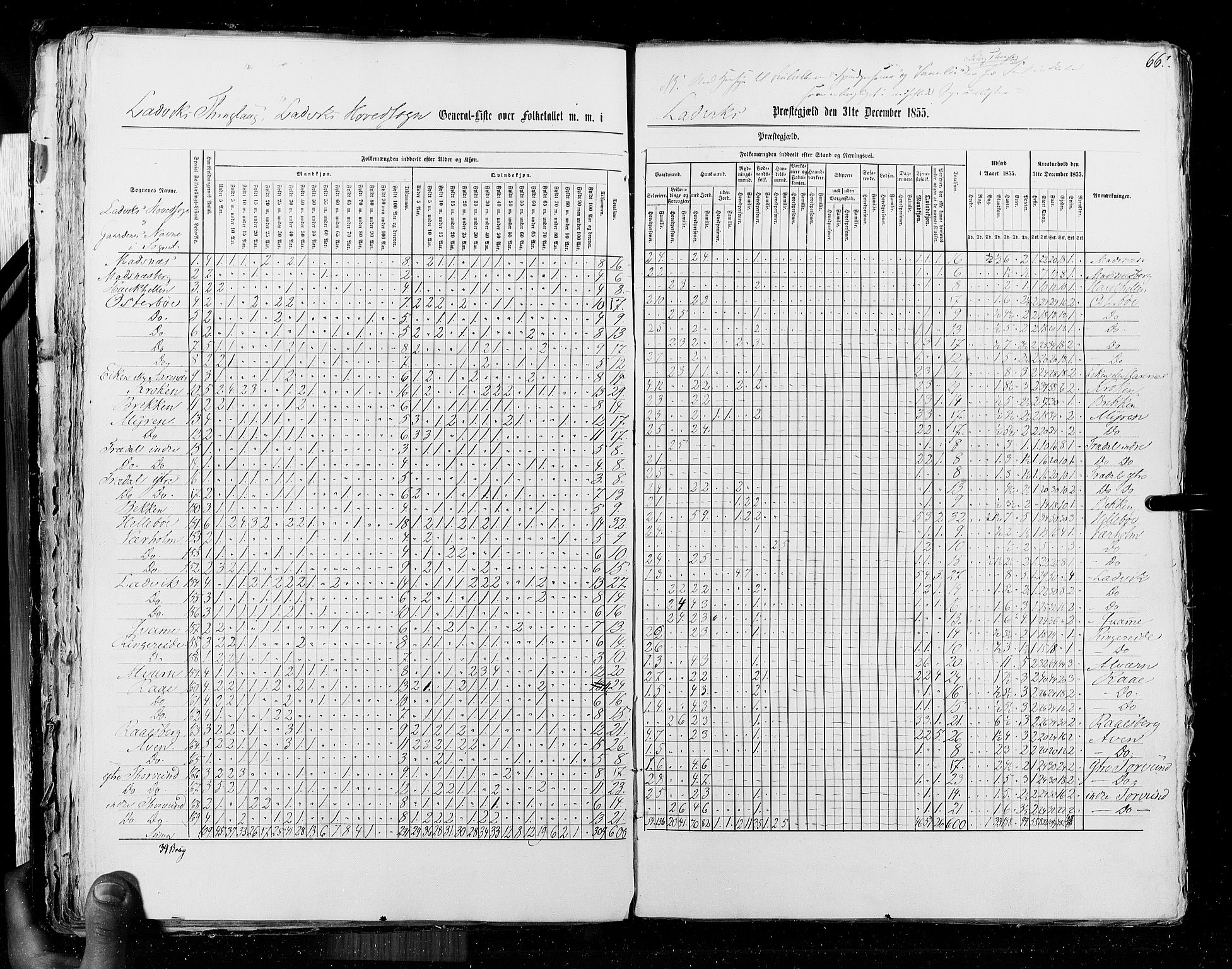 RA, Census 1855, vol. 5: Nordre Bergenhus amt, Romsdal amt og Søndre Trondhjem amt, 1855, p. 66