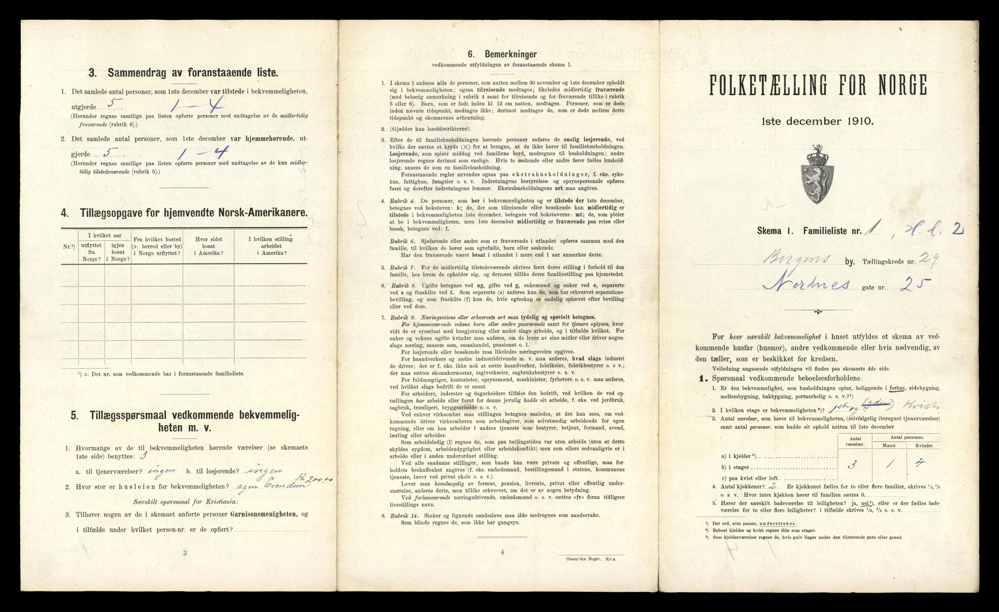 RA, 1910 census for Bergen, 1910, p. 9441