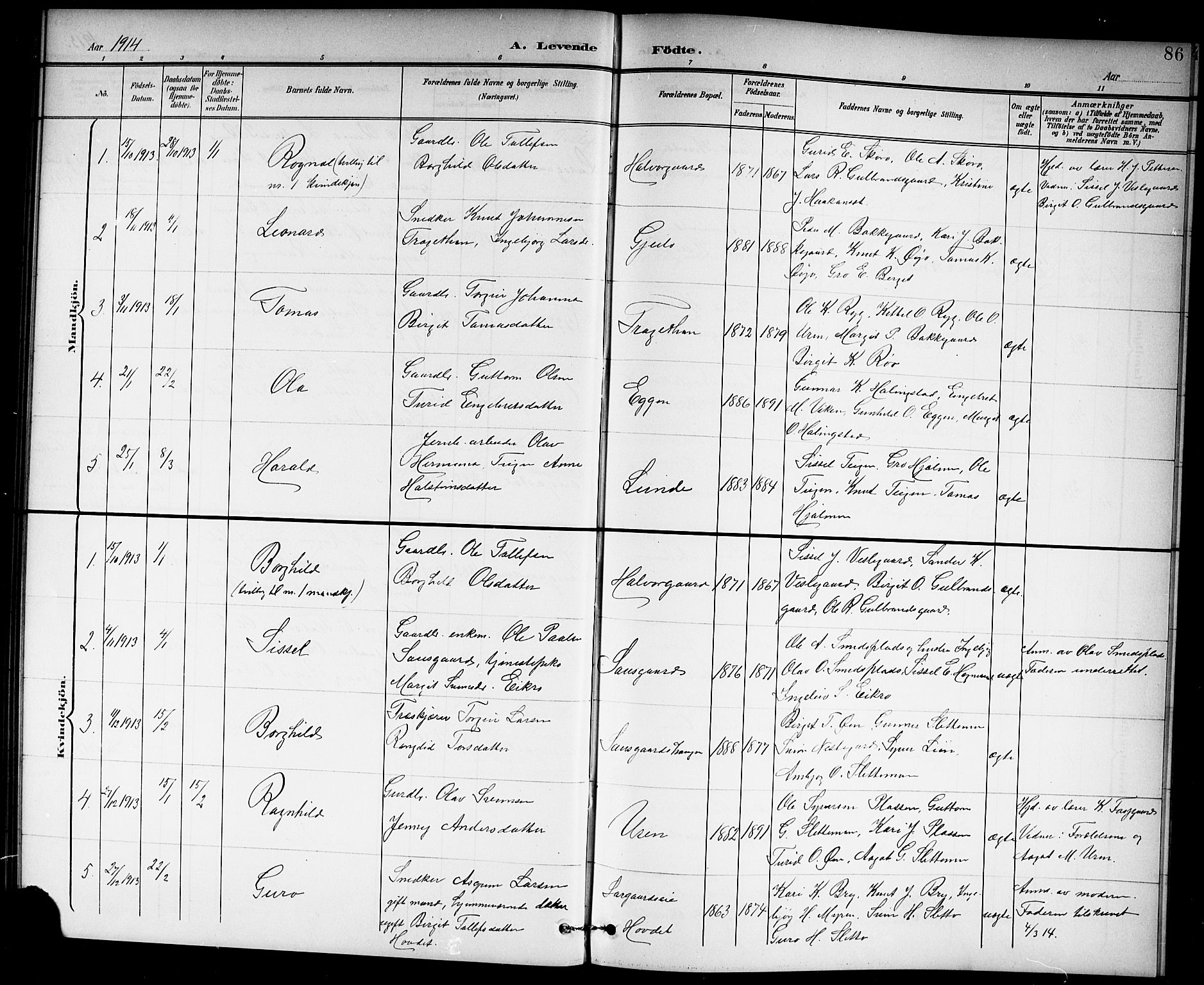 Hol kirkebøker, AV/SAKO-A-227/G/Ga/L0001: Parish register (copy) no. I 1, 1900-1919, p. 86