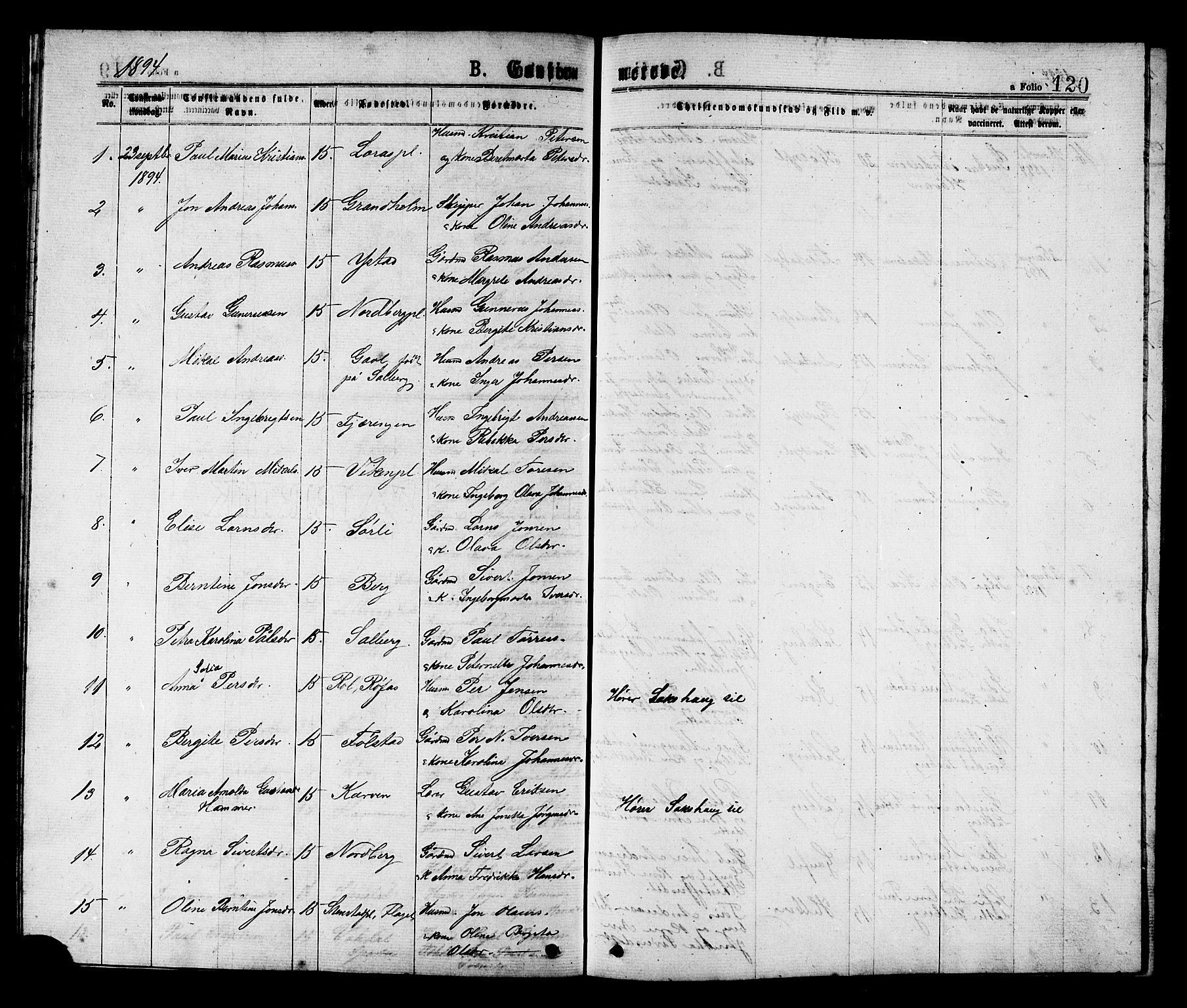 Ministerialprotokoller, klokkerbøker og fødselsregistre - Nord-Trøndelag, SAT/A-1458/731/L0311: Parish register (copy) no. 731C02, 1875-1911, p. 120
