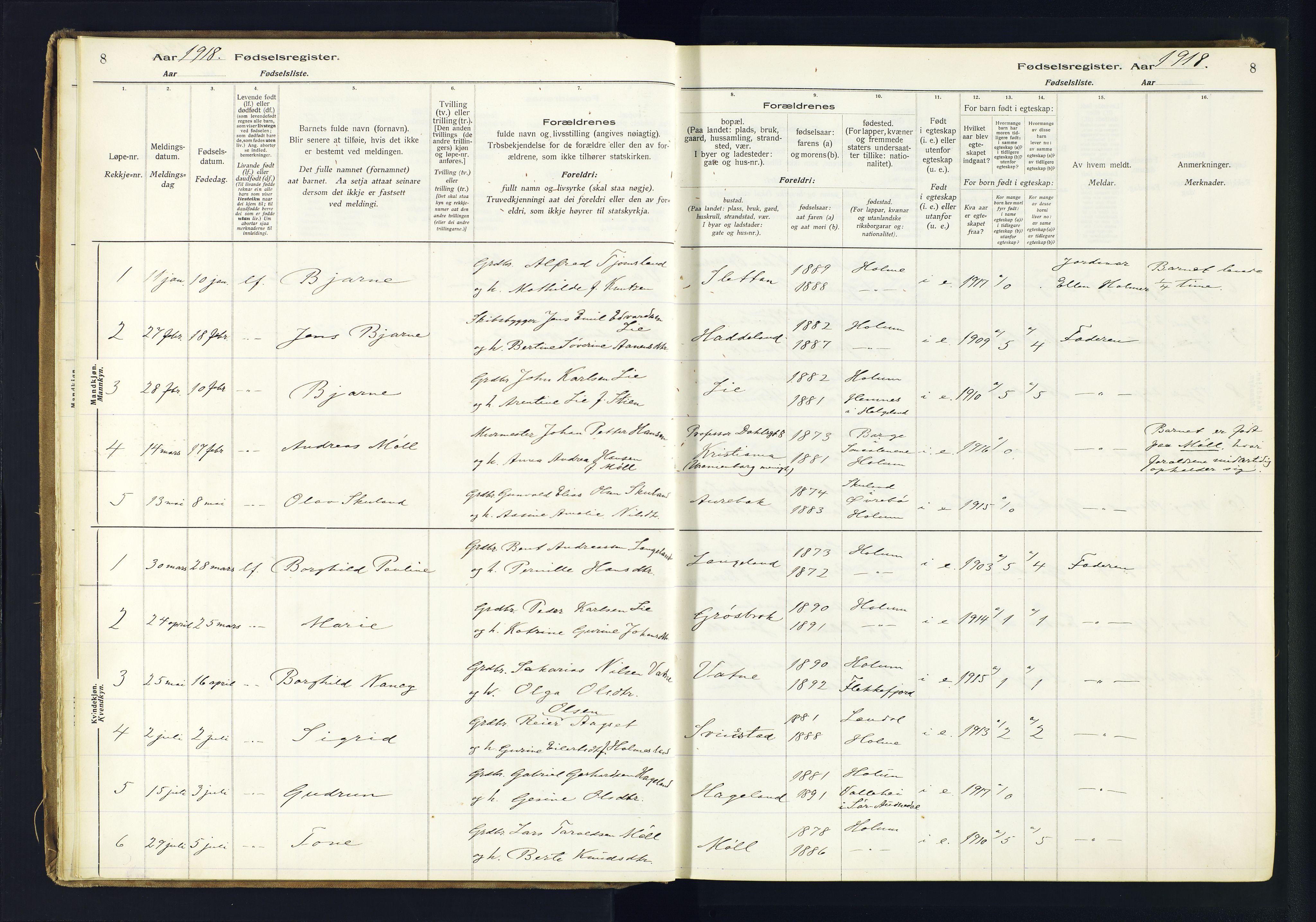 Holum sokneprestkontor, SAK/1111-0022/J/Ja/L0003: Birth register no. II.6.12, 1916-1982, p. 8