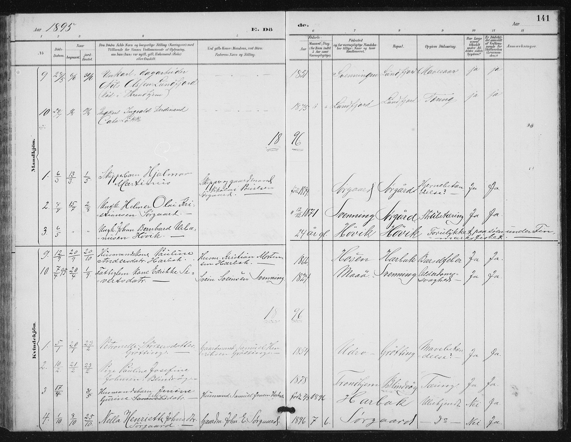 Ministerialprotokoller, klokkerbøker og fødselsregistre - Sør-Trøndelag, AV/SAT-A-1456/656/L0698: Parish register (copy) no. 656C04, 1890-1904, p. 141