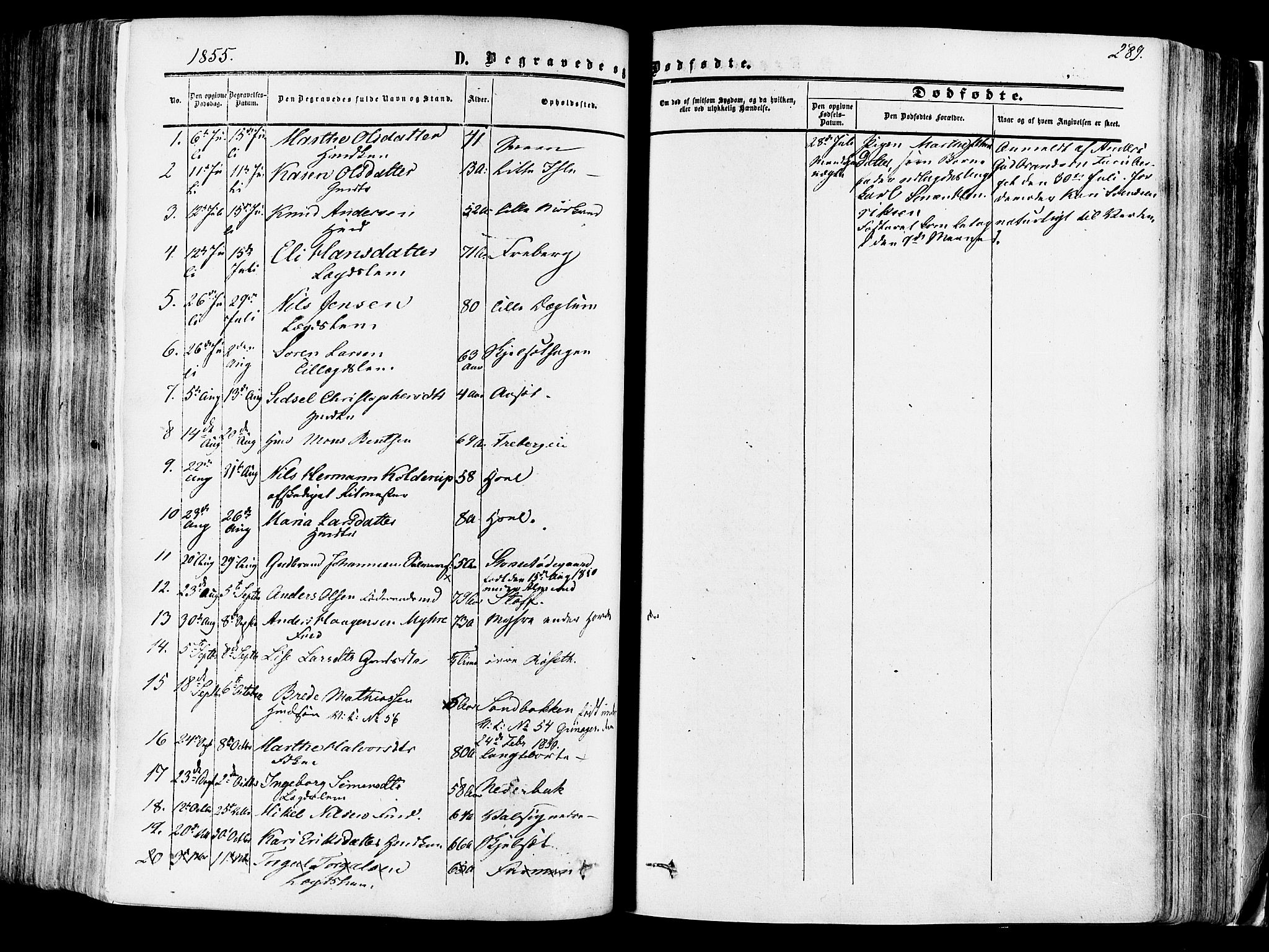 Vang prestekontor, Hedmark, SAH/PREST-008/H/Ha/Haa/L0013: Parish register (official) no. 13, 1855-1879, p. 289