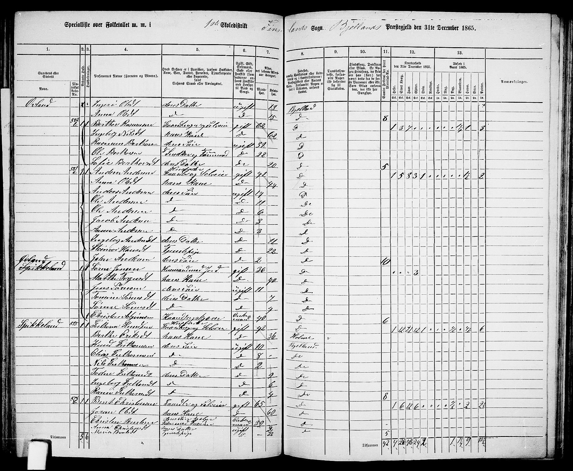 RA, 1865 census for Bjelland, 1865, p. 21