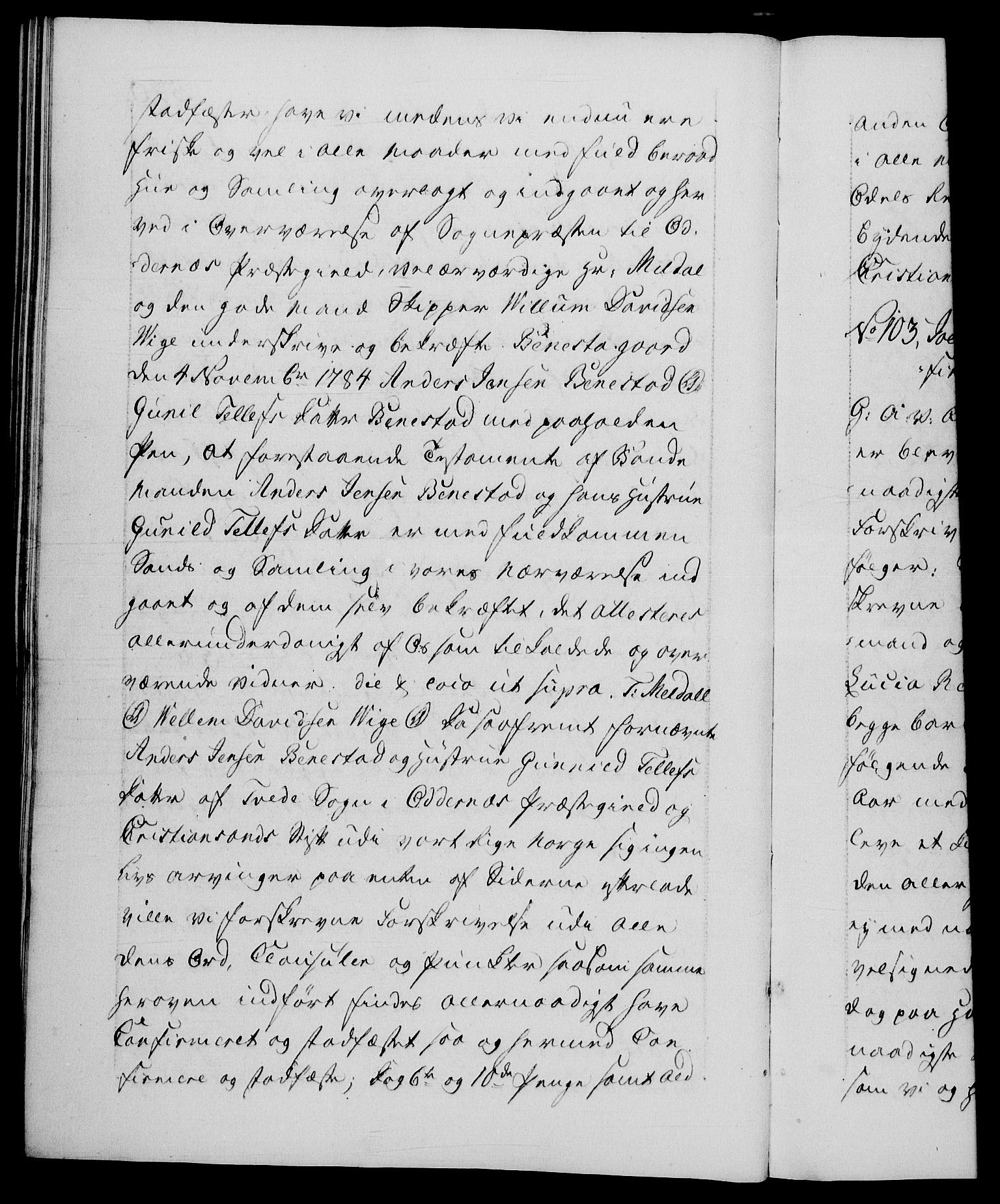 Danske Kanselli 1572-1799, AV/RA-EA-3023/F/Fc/Fca/Fcaa/L0050: Norske registre, 1784-1785, p. 520b