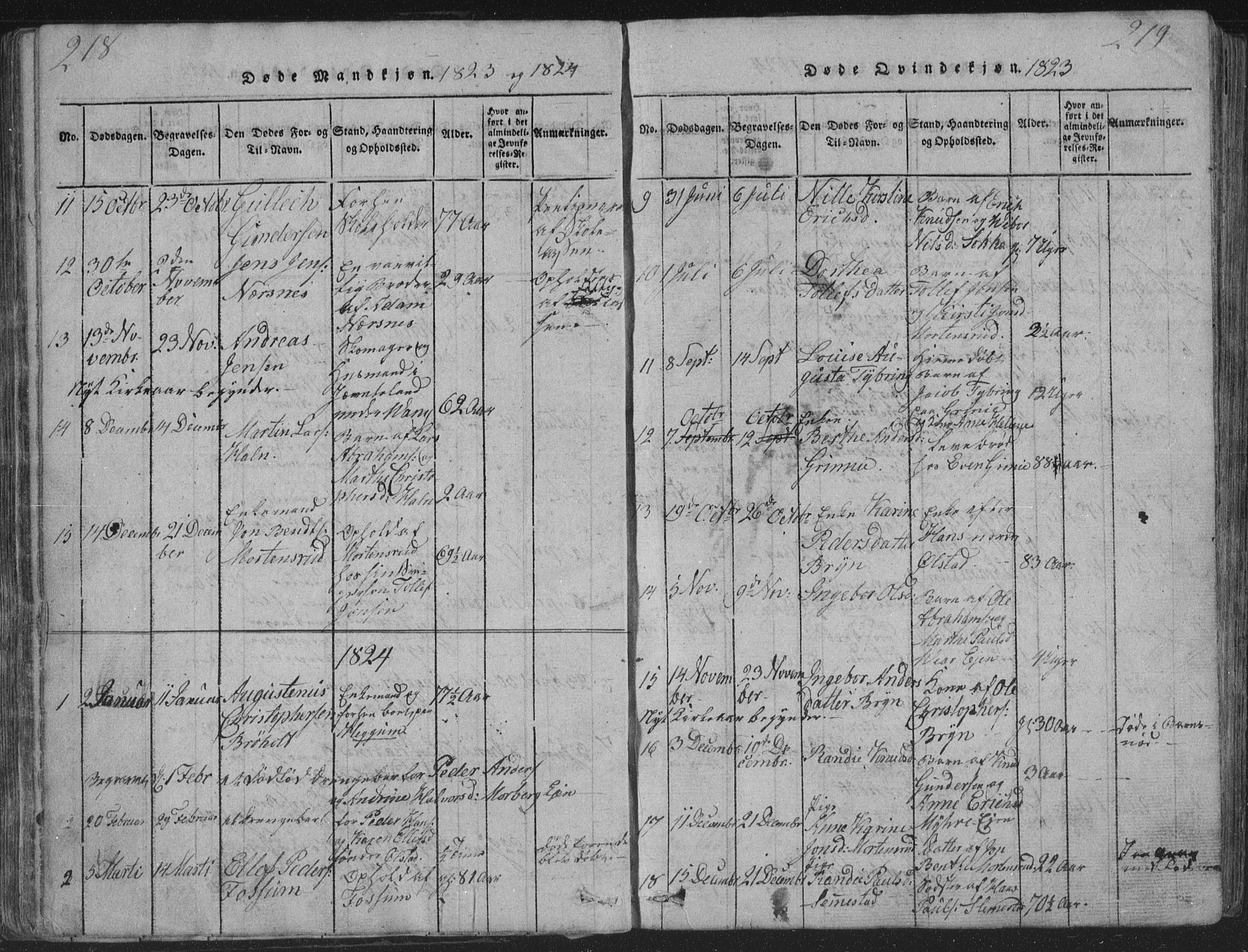 Røyken kirkebøker, SAKO/A-241/G/Ga/L0003: Parish register (copy) no. 3, 1814-1856, p. 218-219