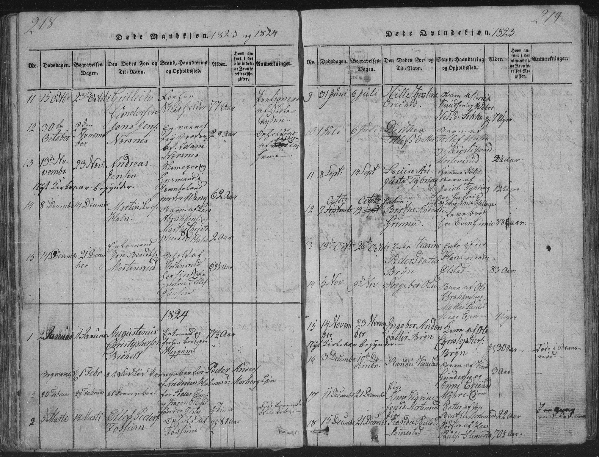 Røyken kirkebøker, AV/SAKO-A-241/G/Ga/L0003: Parish register (copy) no. 3, 1814-1856, p. 218-219