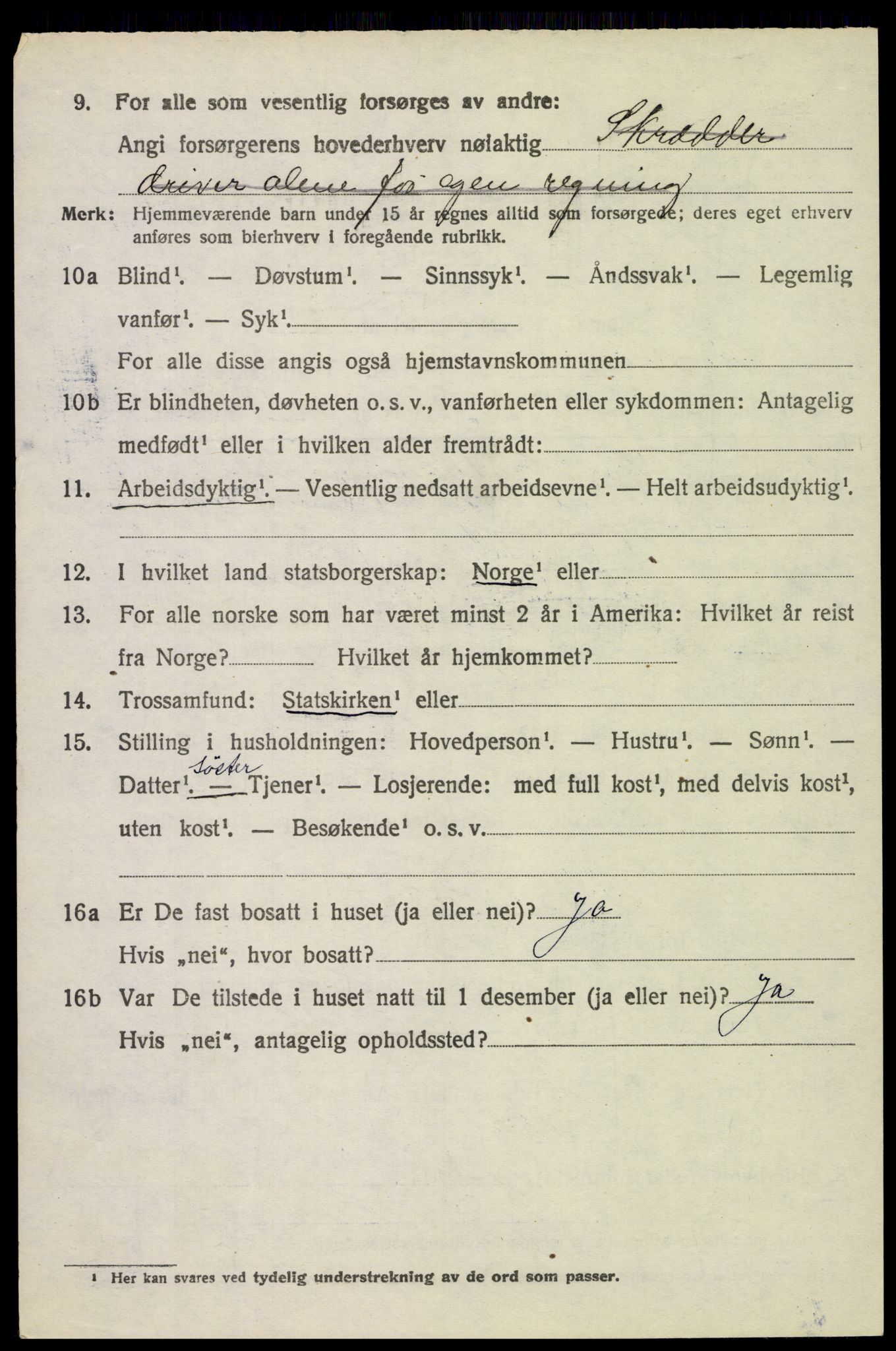 SAH, 1920 census for Sør-Odal, 1920, p. 6060