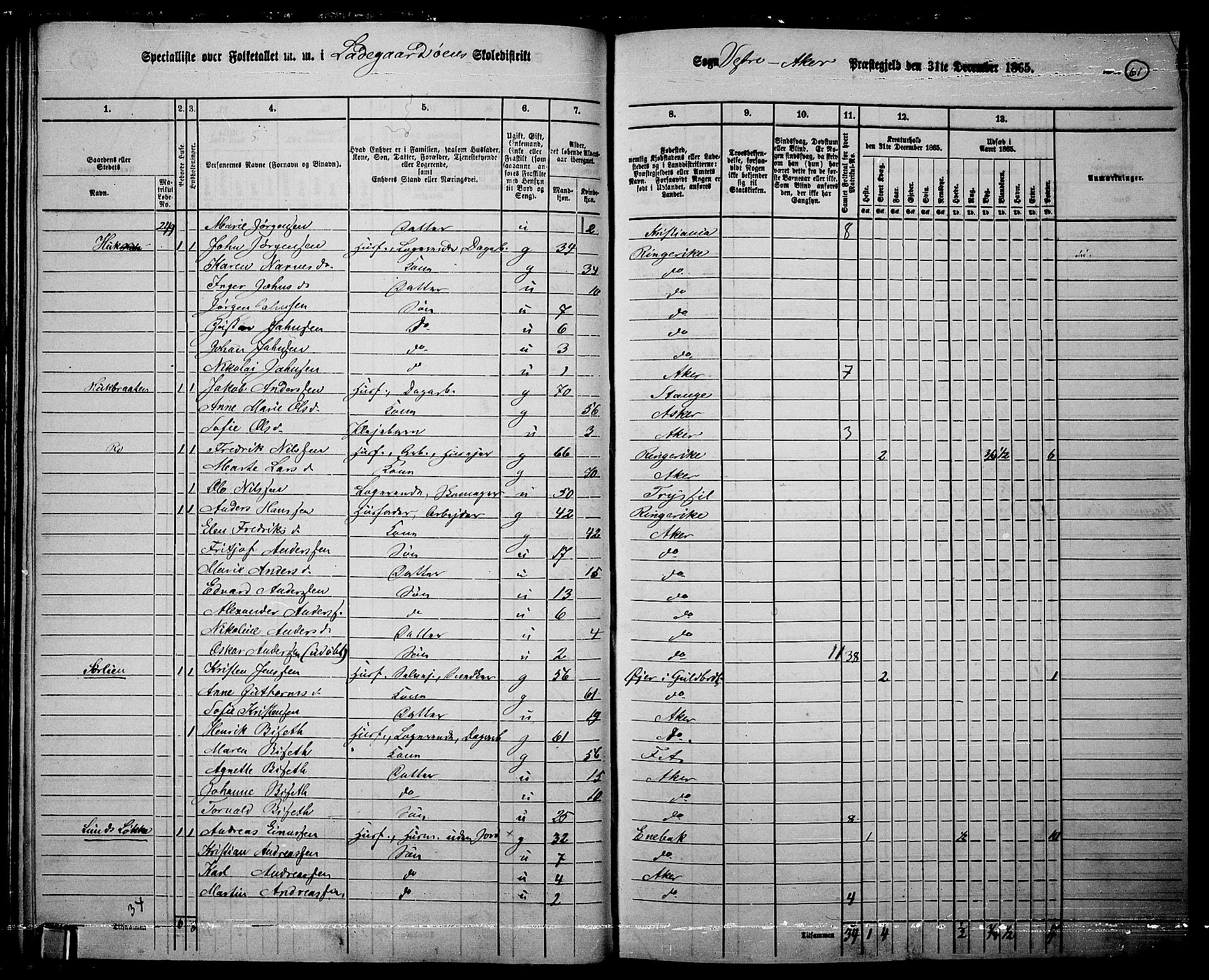 RA, 1865 census for Vestre Aker, 1865, p. 58