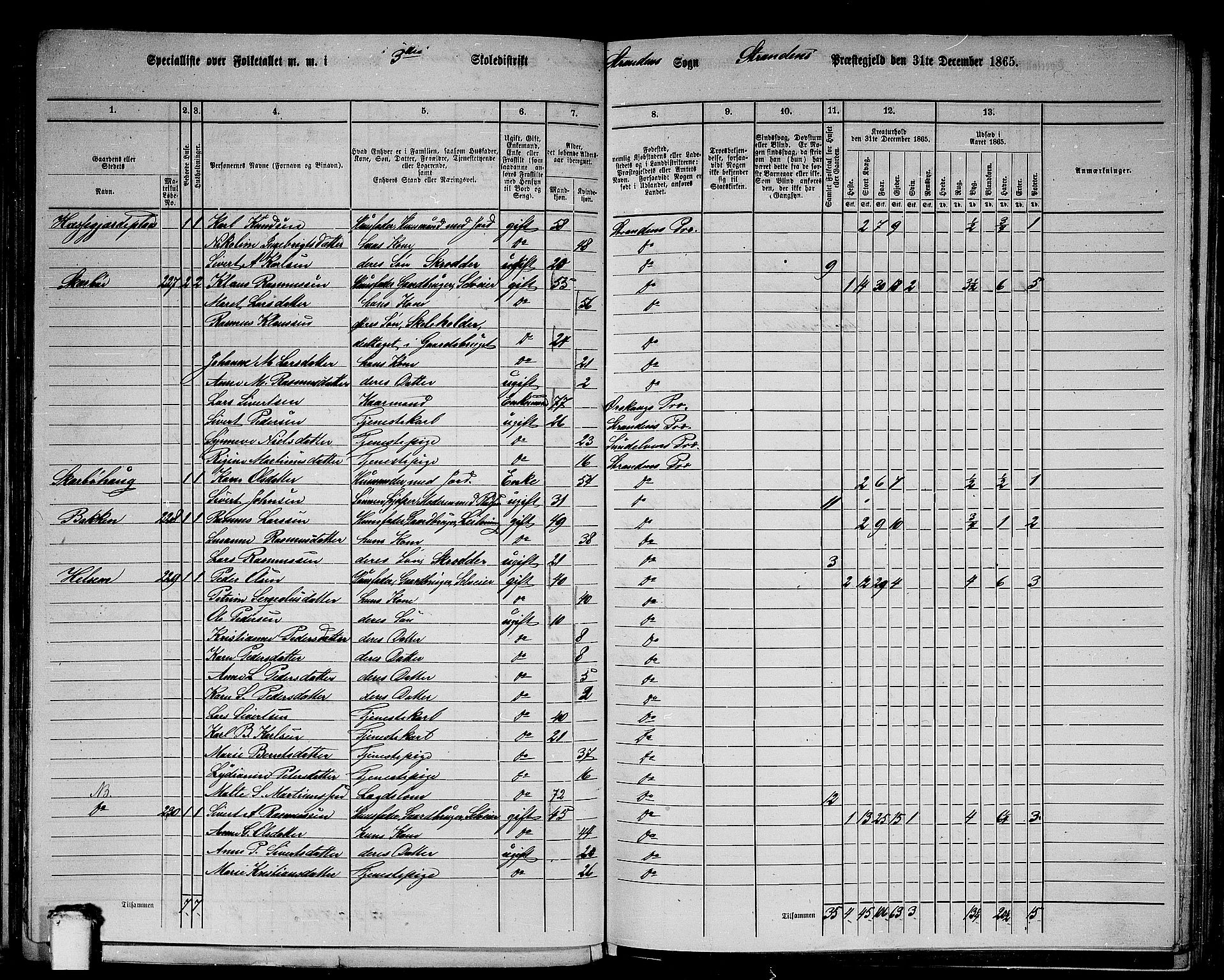 RA, 1865 census for Stranda, 1865, p. 15