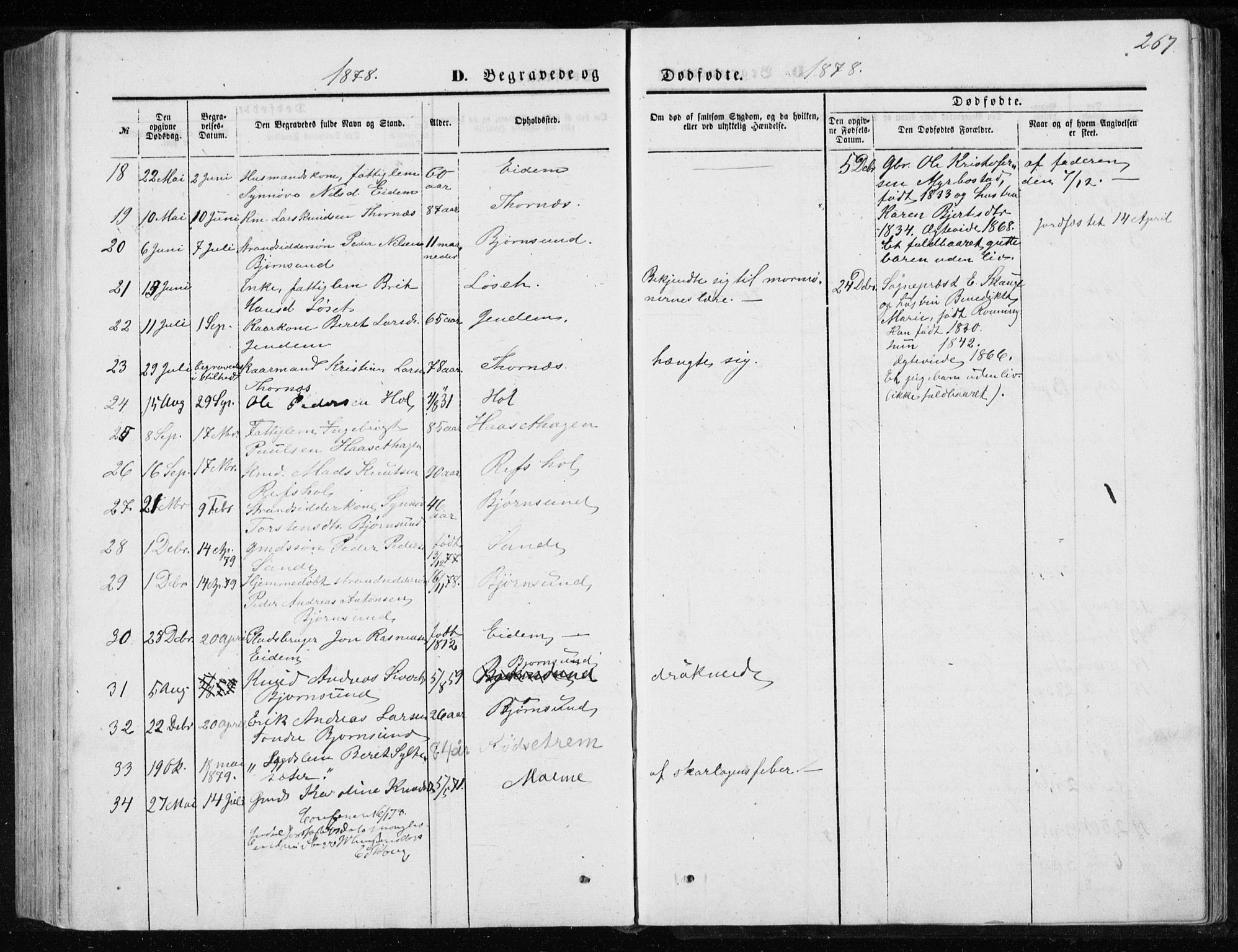 Ministerialprotokoller, klokkerbøker og fødselsregistre - Møre og Romsdal, AV/SAT-A-1454/565/L0754: Parish register (copy) no. 565C03, 1870-1896, p. 267