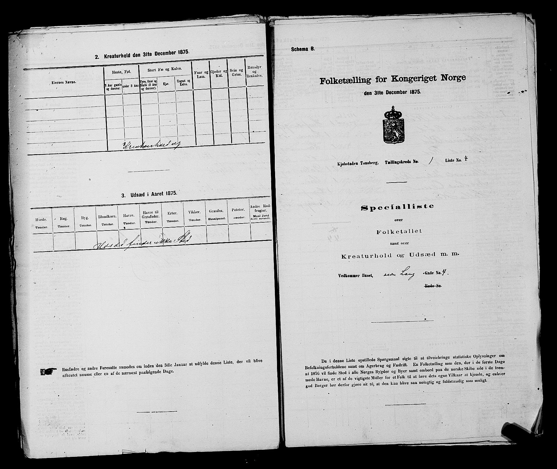 SAKO, 1875 census for 0705P Tønsberg, 1875, p. 30