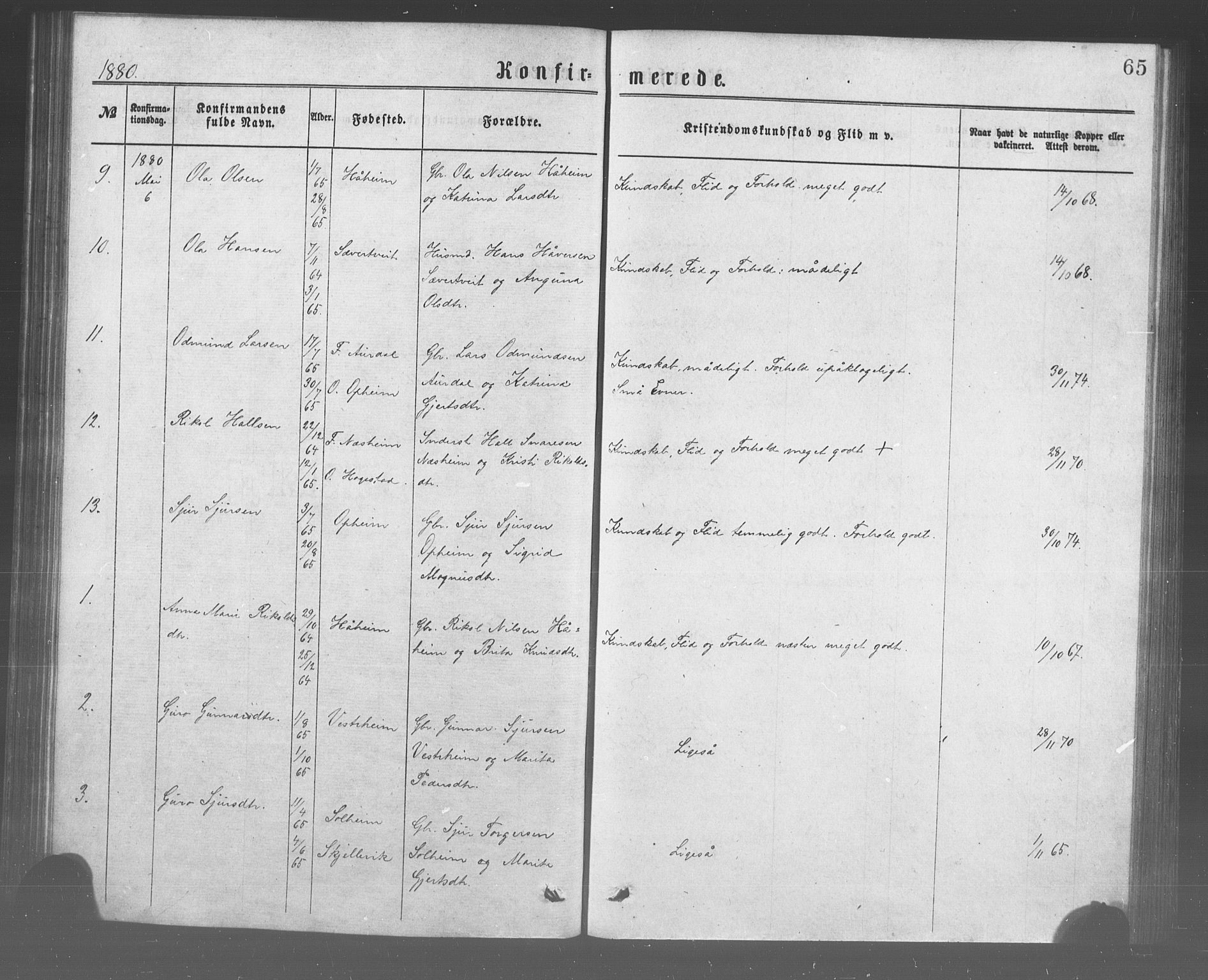 Ulvik sokneprestembete, SAB/A-78801/H/Haa: Parish register (official) no. A 17, 1873-1891, p. 65