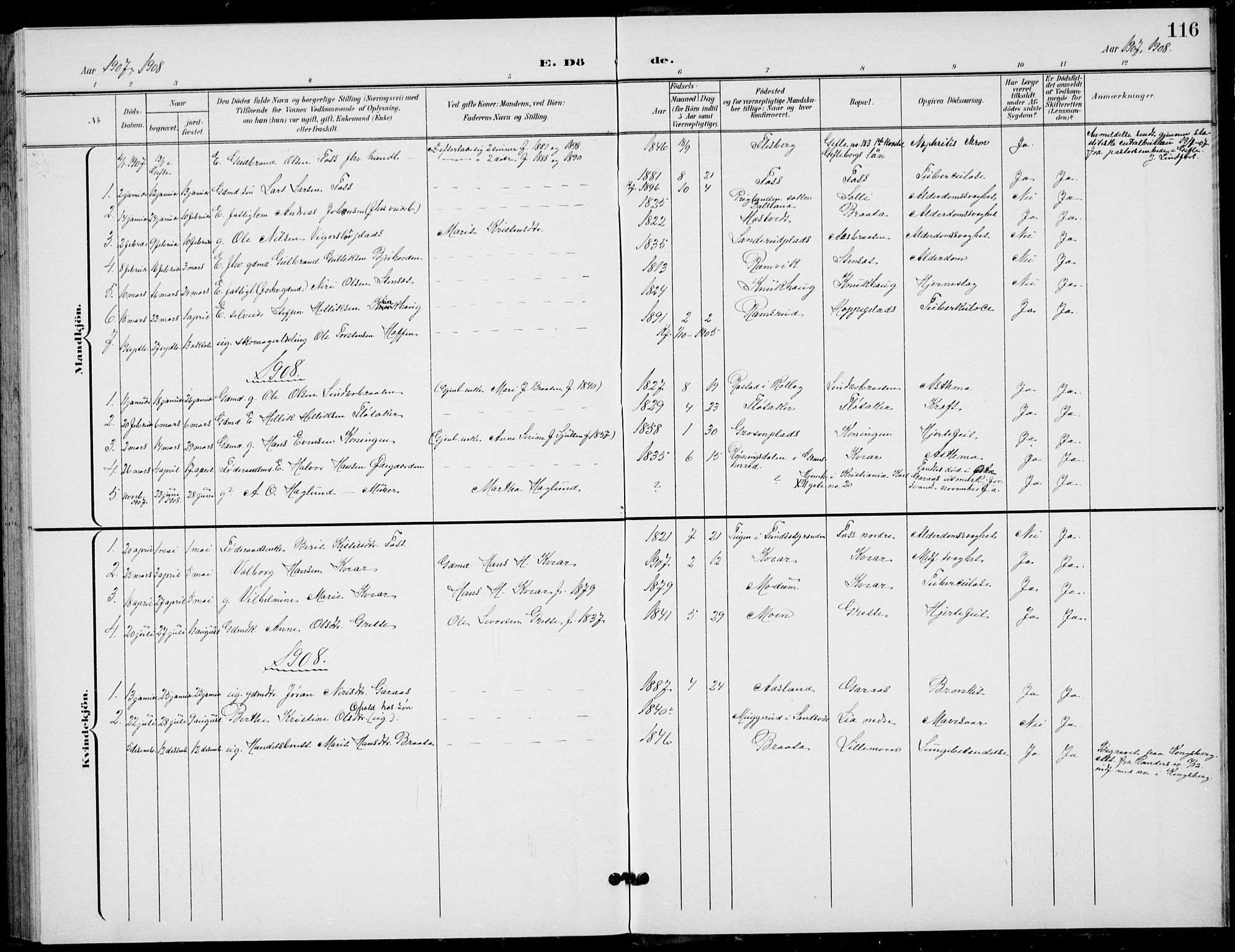 Flesberg kirkebøker, AV/SAKO-A-18/G/Ga/L0005: Parish register (copy) no. I 5, 1899-1908, p. 116