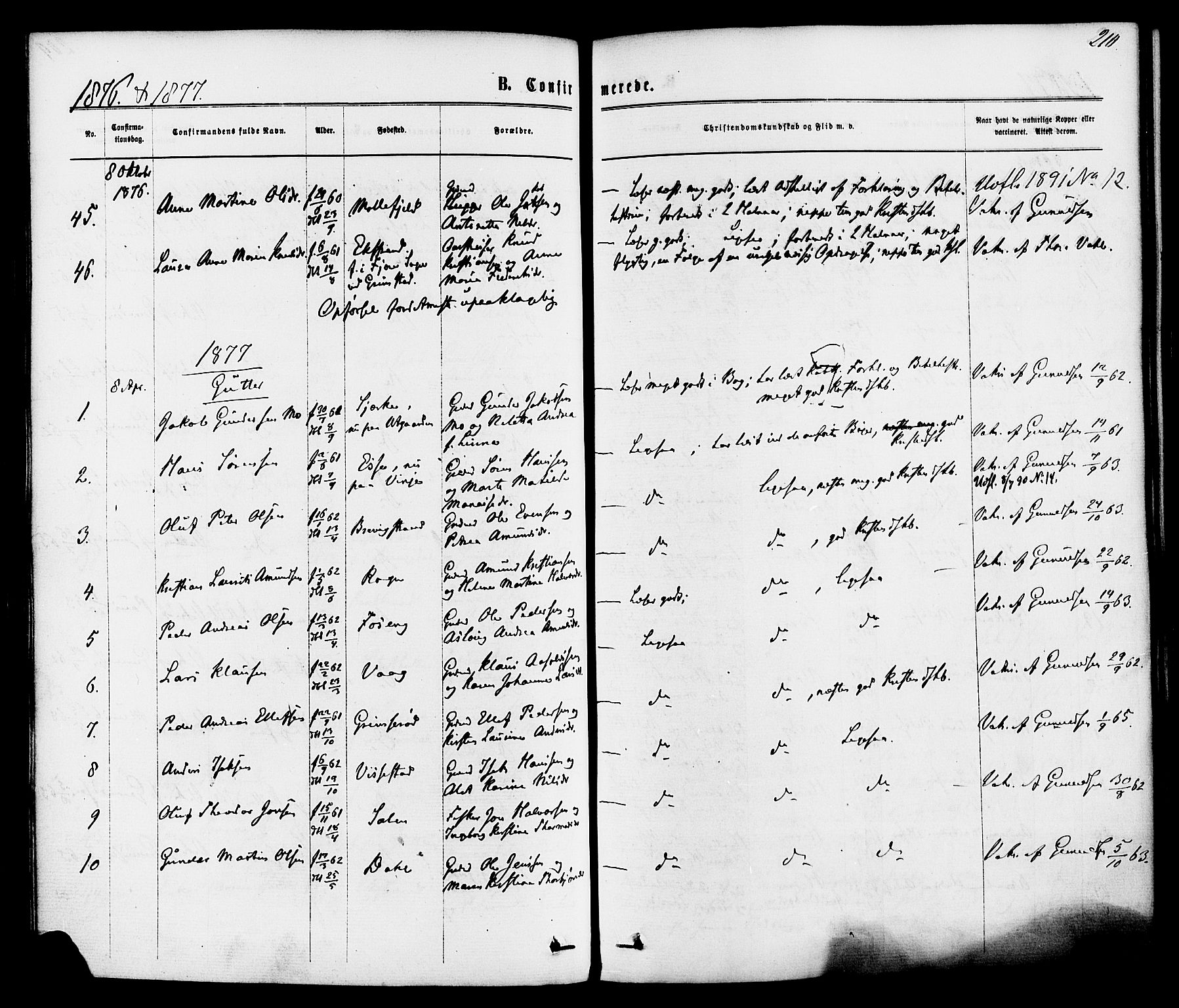 Bamble kirkebøker, SAKO/A-253/F/Fa/L0006: Parish register (official) no. I 6, 1869-1877, p. 210