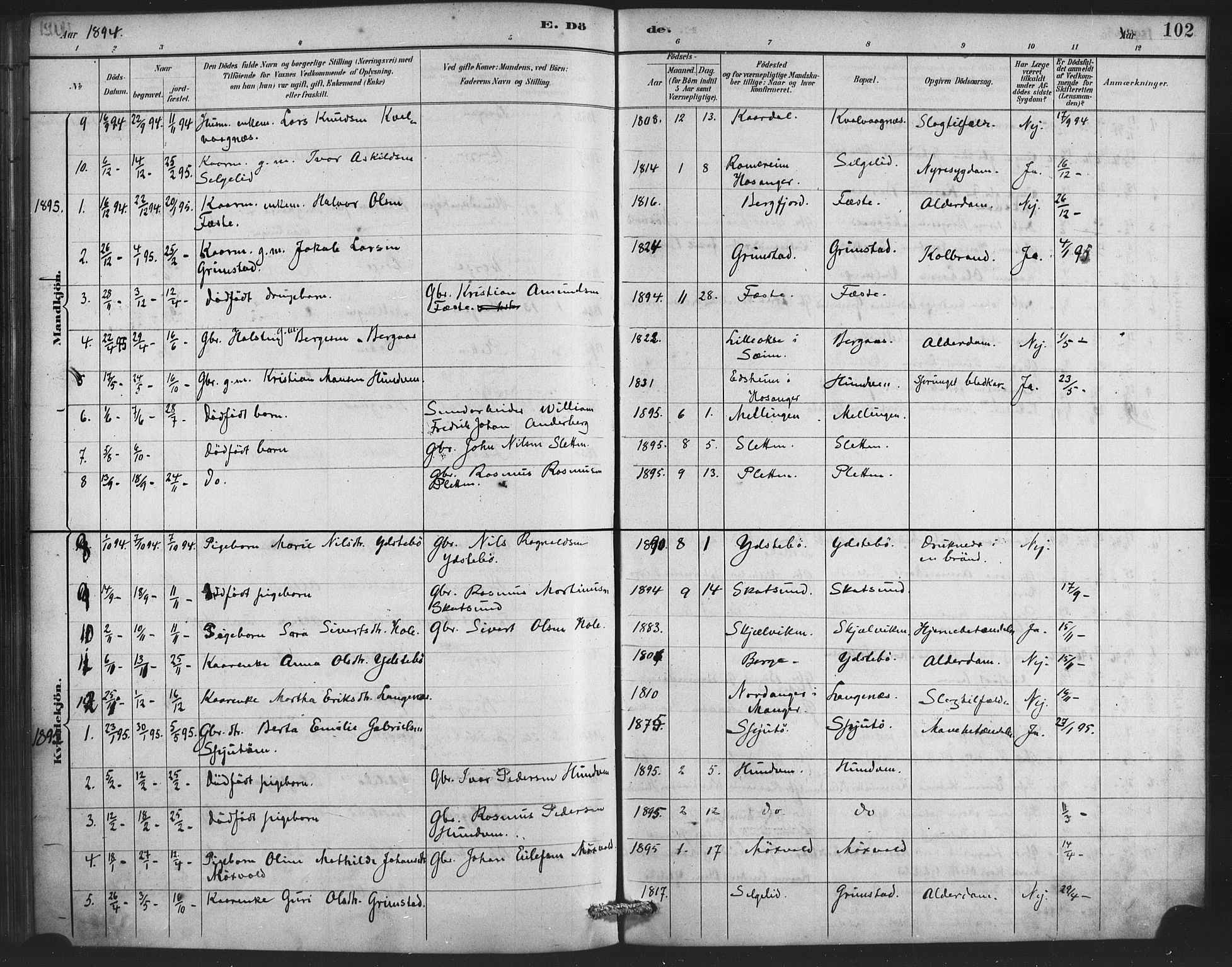 Lindås Sokneprestembete, SAB/A-76701/H/Haa: Parish register (official) no. E 1, 1886-1897, p. 102