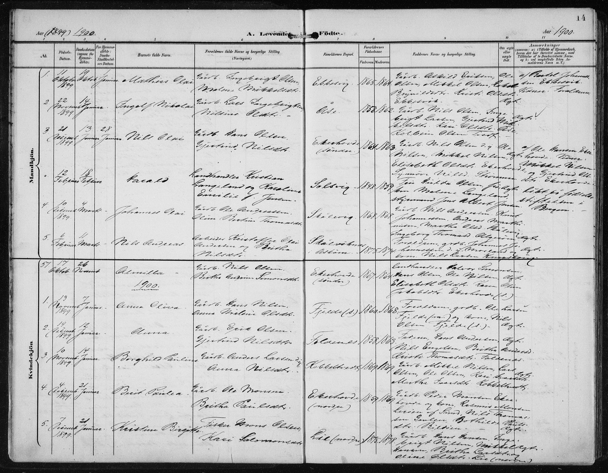 Fjell sokneprestembete, SAB/A-75301/H/Haa: Parish register (official) no. A  9, 1899-1910, p. 14