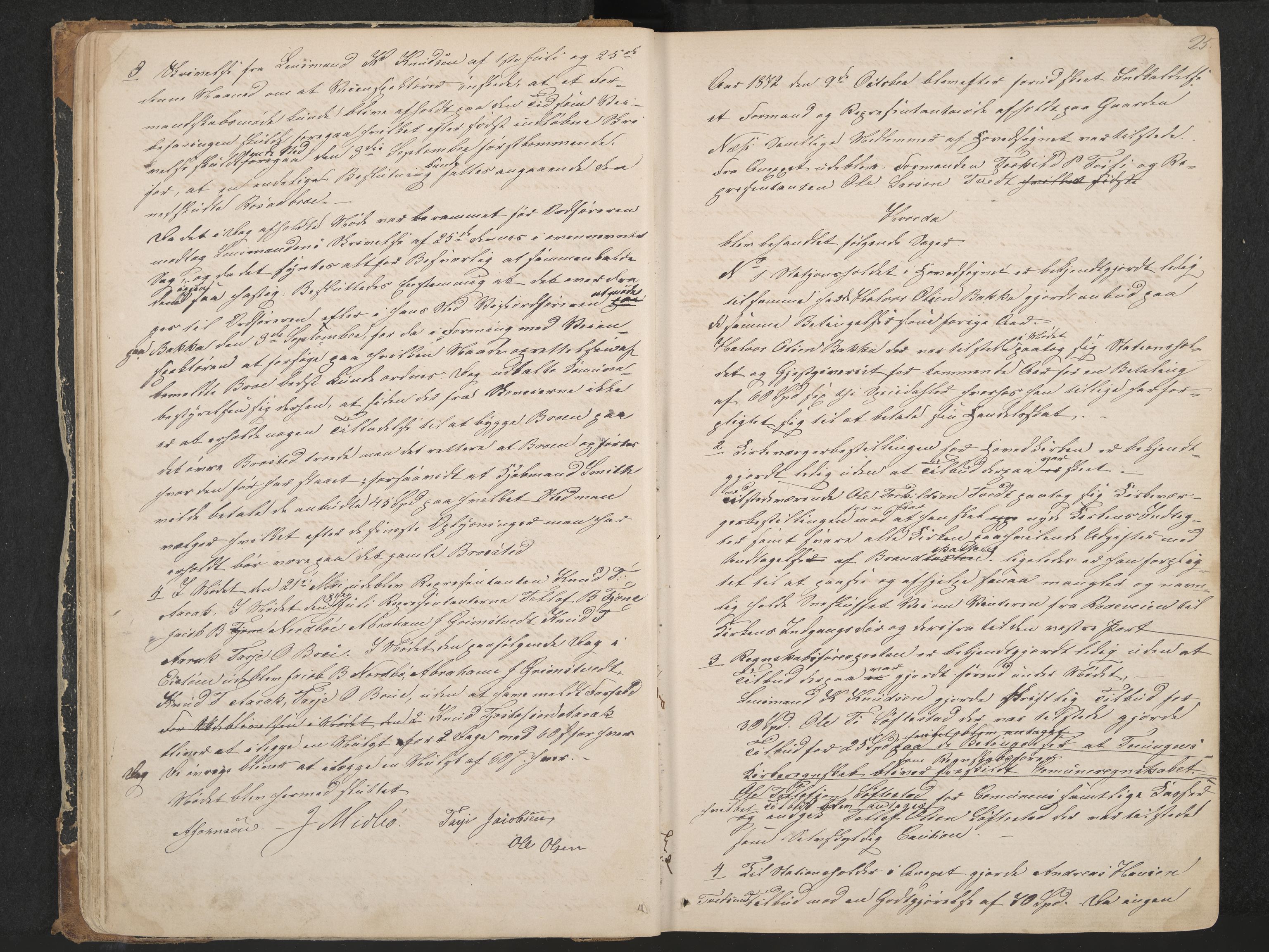 Nissedal formannskap og sentraladministrasjon, IKAK/0830021-1/A/L0002: Møtebok, 1870-1892, p. 25