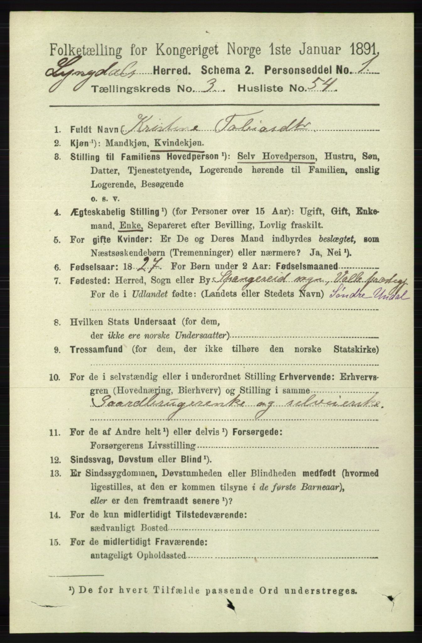 RA, 1891 census for 1032 Lyngdal, 1891, p. 1347