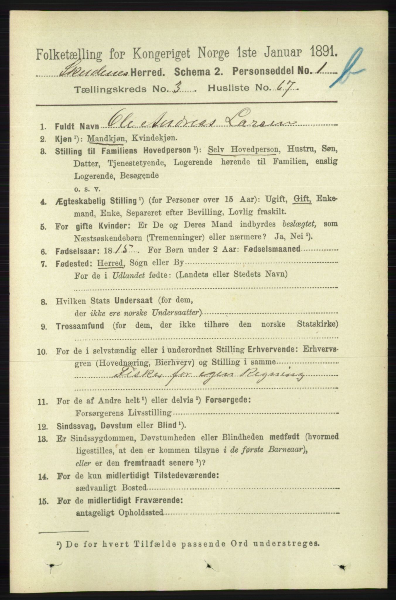 RA, 1891 census for 1150 Skudenes, 1891, p. 4353