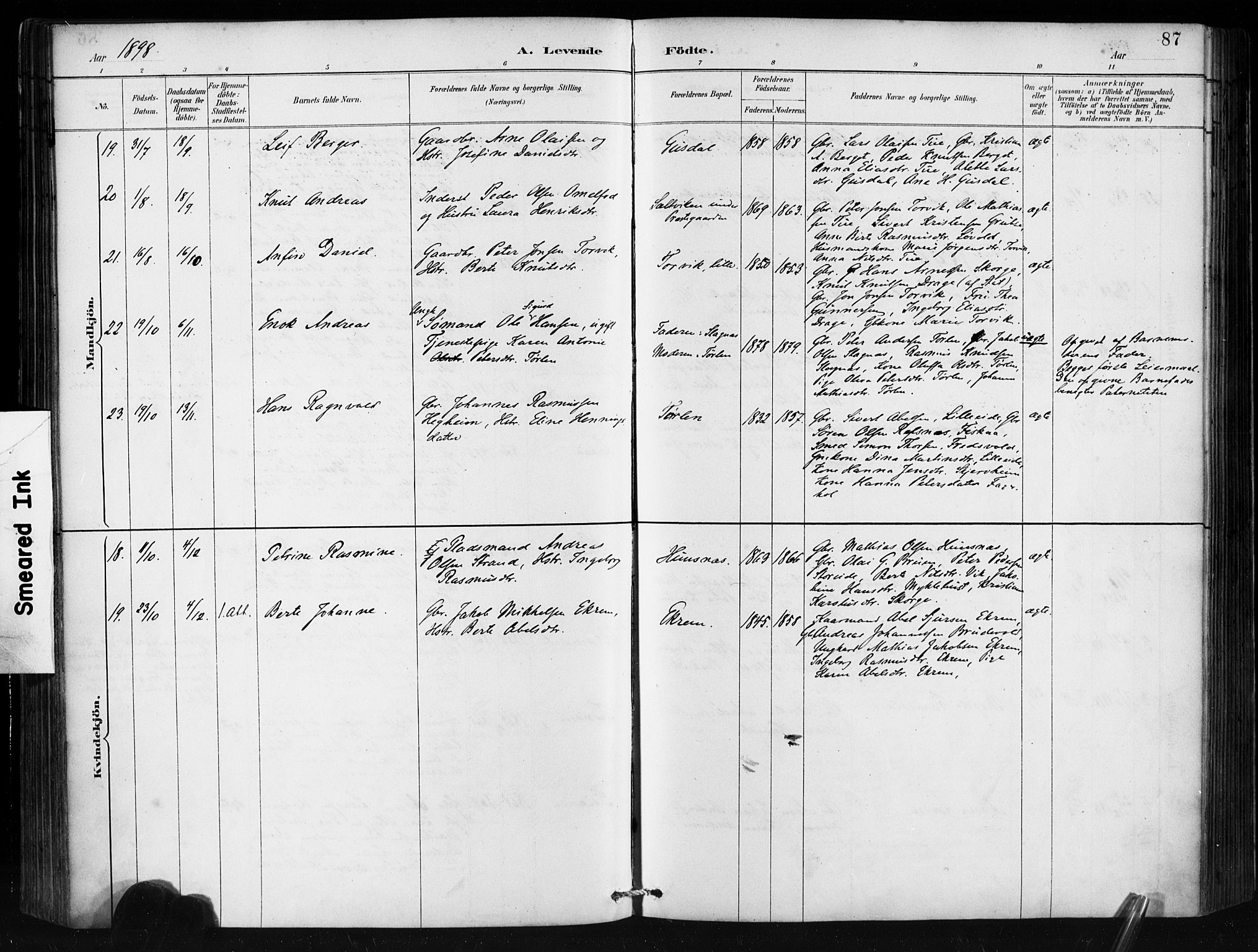 Ministerialprotokoller, klokkerbøker og fødselsregistre - Møre og Romsdal, AV/SAT-A-1454/501/L0008: Parish register (official) no. 501A08, 1885-1901, p. 87