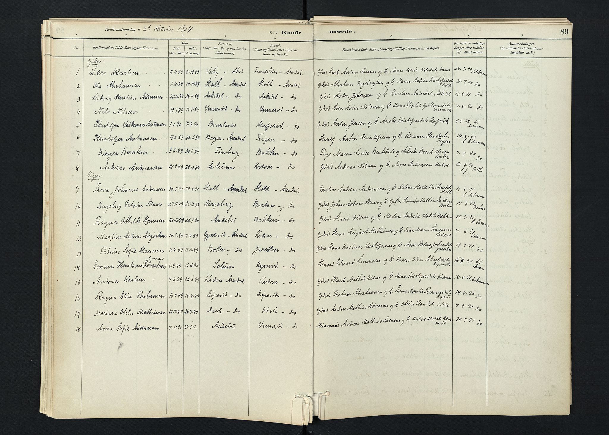 Stokke kirkebøker, SAKO/A-320/F/Fc/L0001: Parish register (official) no. III 1, 1884-1910, p. 89