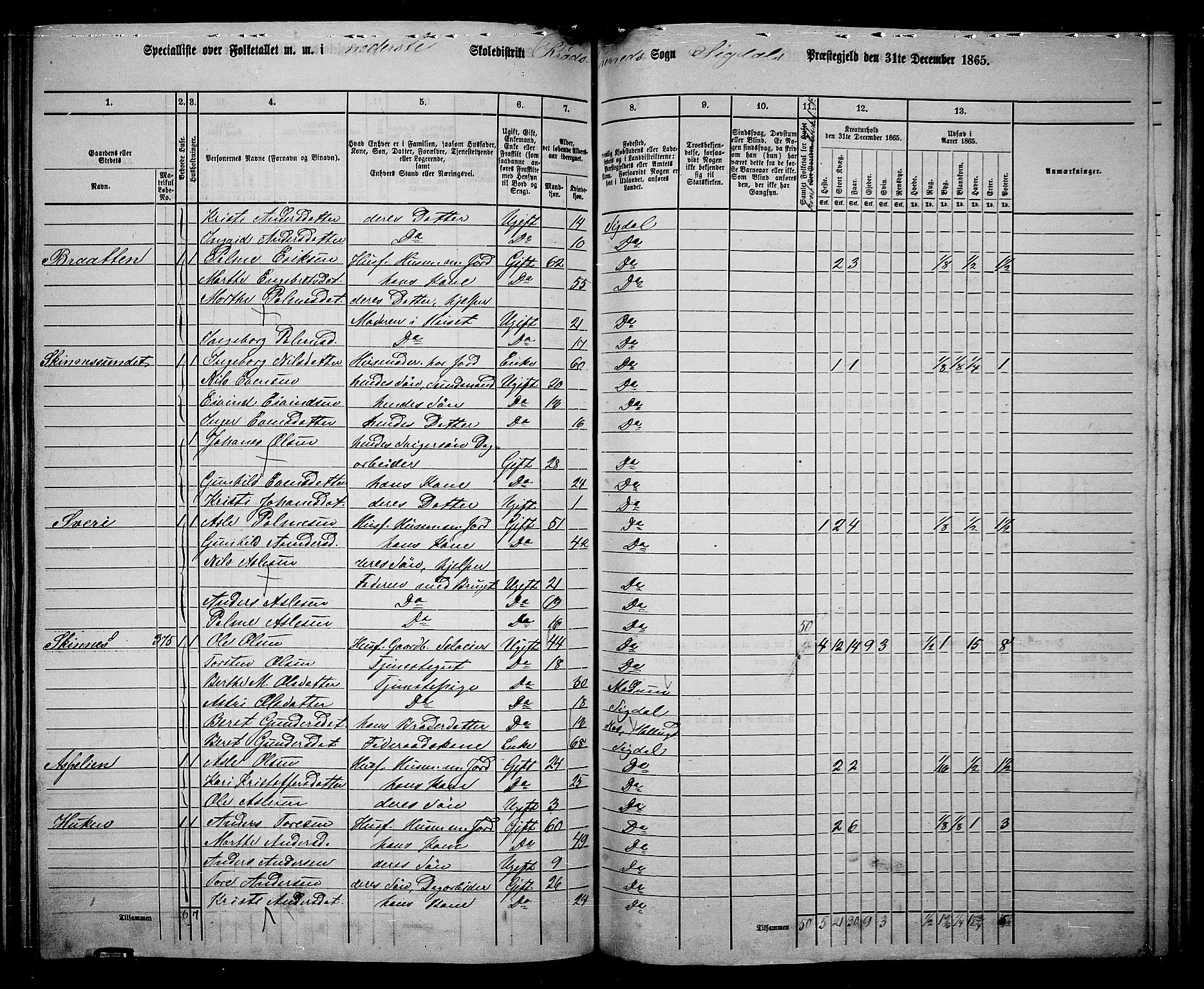 RA, 1865 census for Sigdal, 1865, p. 202