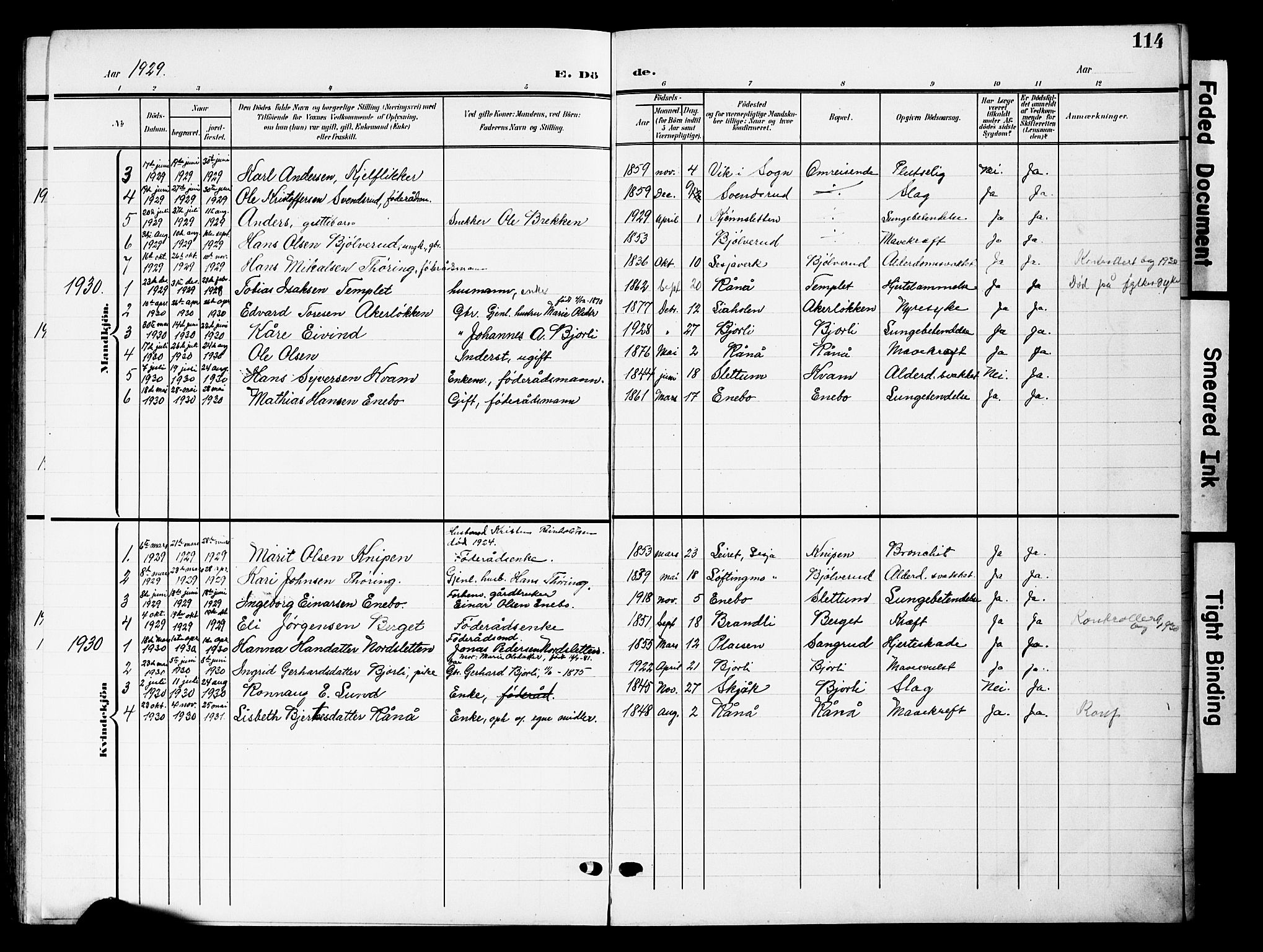Lesja prestekontor, SAH/PREST-068/H/Ha/Hab/L0008: Parish register (copy) no. 8, 1905-1931, p. 114
