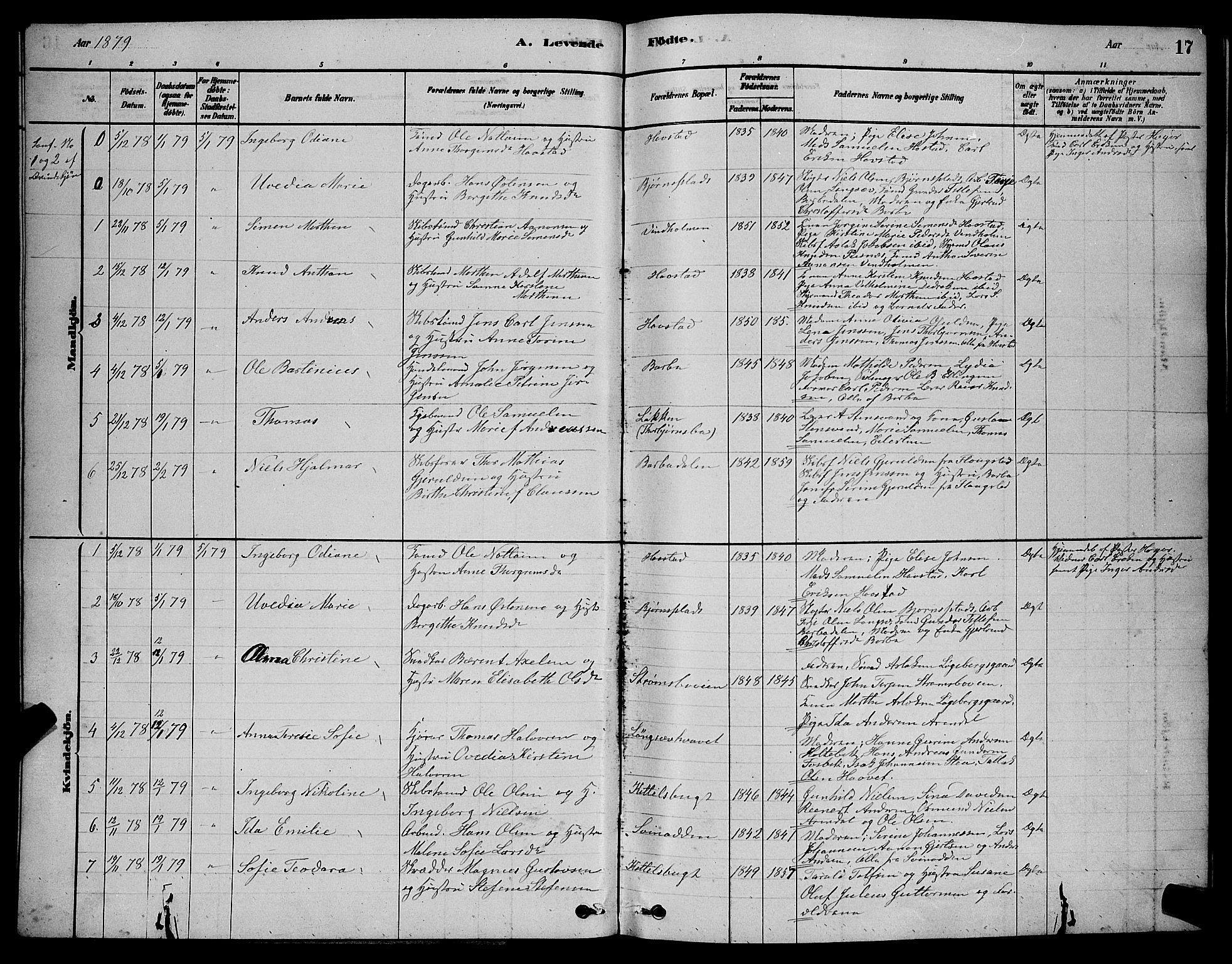 Barbu sokneprestkontor, AV/SAK-1111-0003/F/Fb/L0001: Parish register (copy) no. B 1, 1878-1890, p. 17