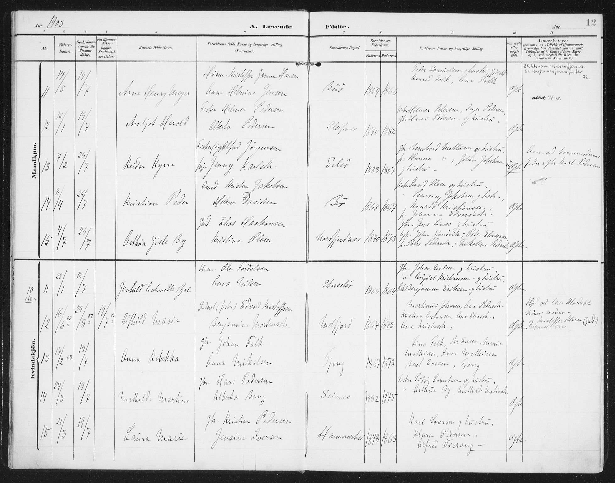 Ministerialprotokoller, klokkerbøker og fødselsregistre - Nordland, AV/SAT-A-1459/841/L0612: Parish register (official) no. 841A15, 1902-1910, p. 12