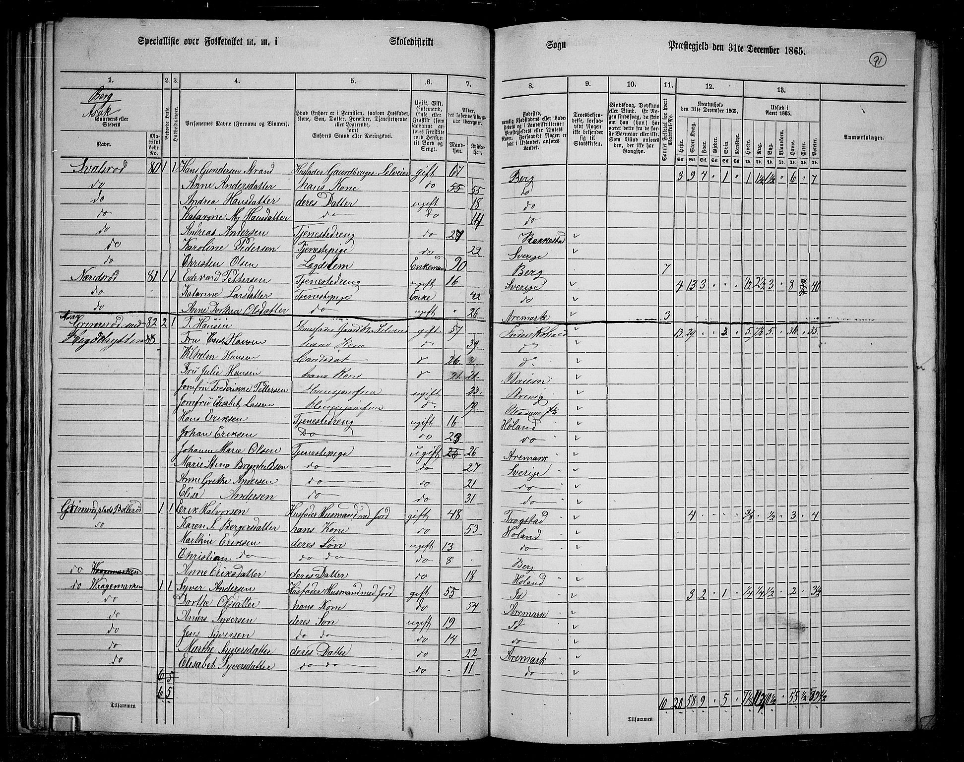 RA, 1865 census for Berg, 1865, p. 80