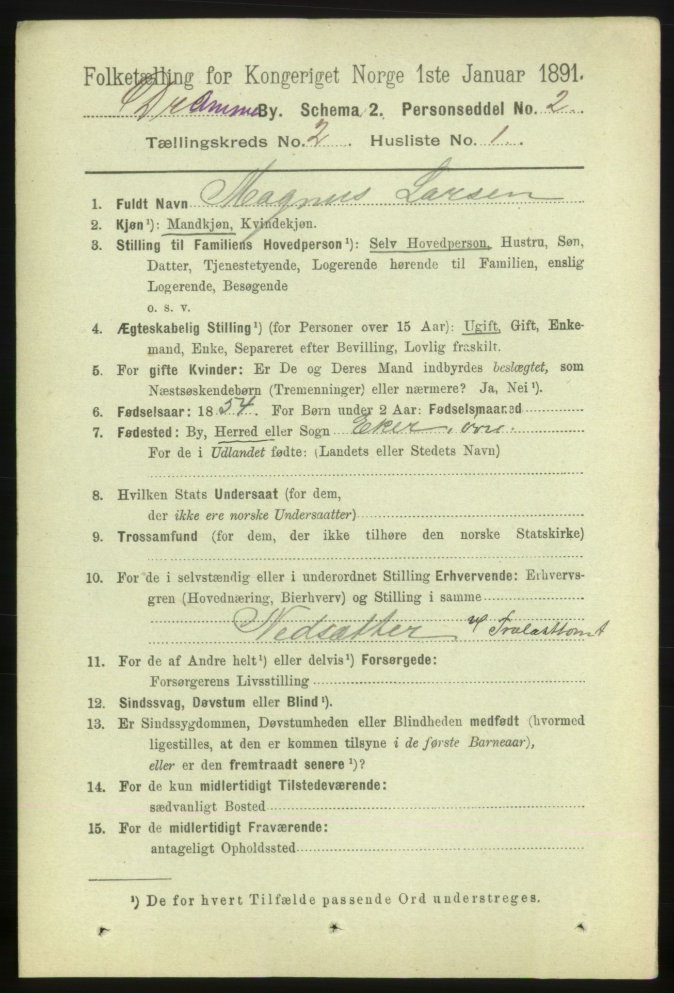 RA, 1891 census for 0602 Drammen, 1891, p. 4254