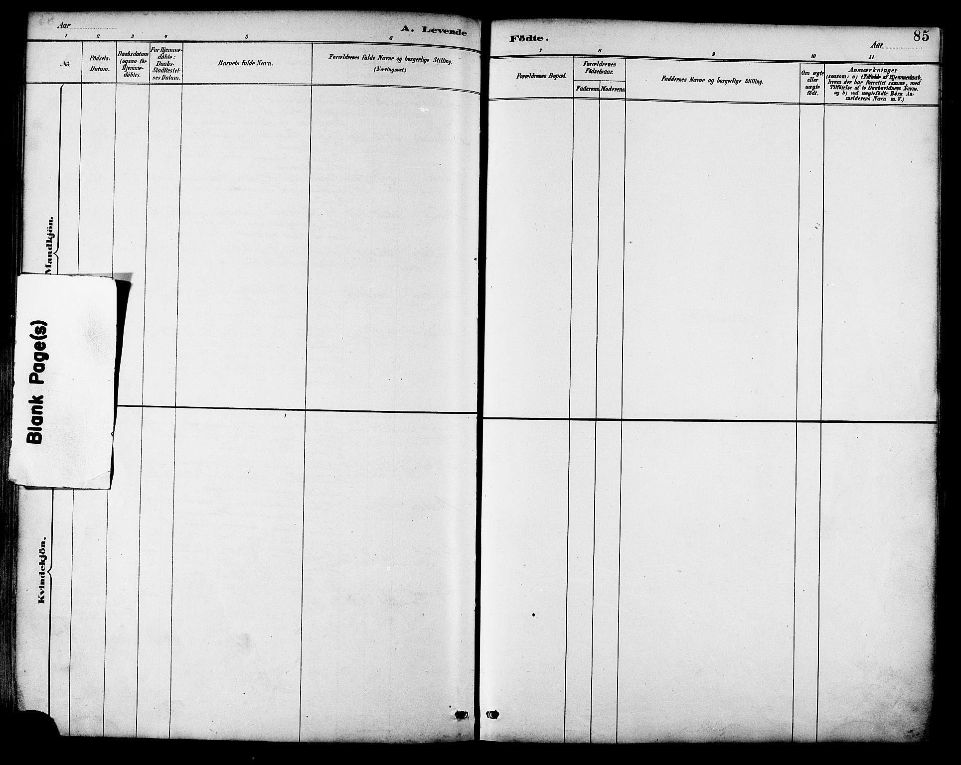 Ministerialprotokoller, klokkerbøker og fødselsregistre - Nordland, SAT/A-1459/892/L1320: Parish register (official) no. 892A01, 1886-1901, p. 85