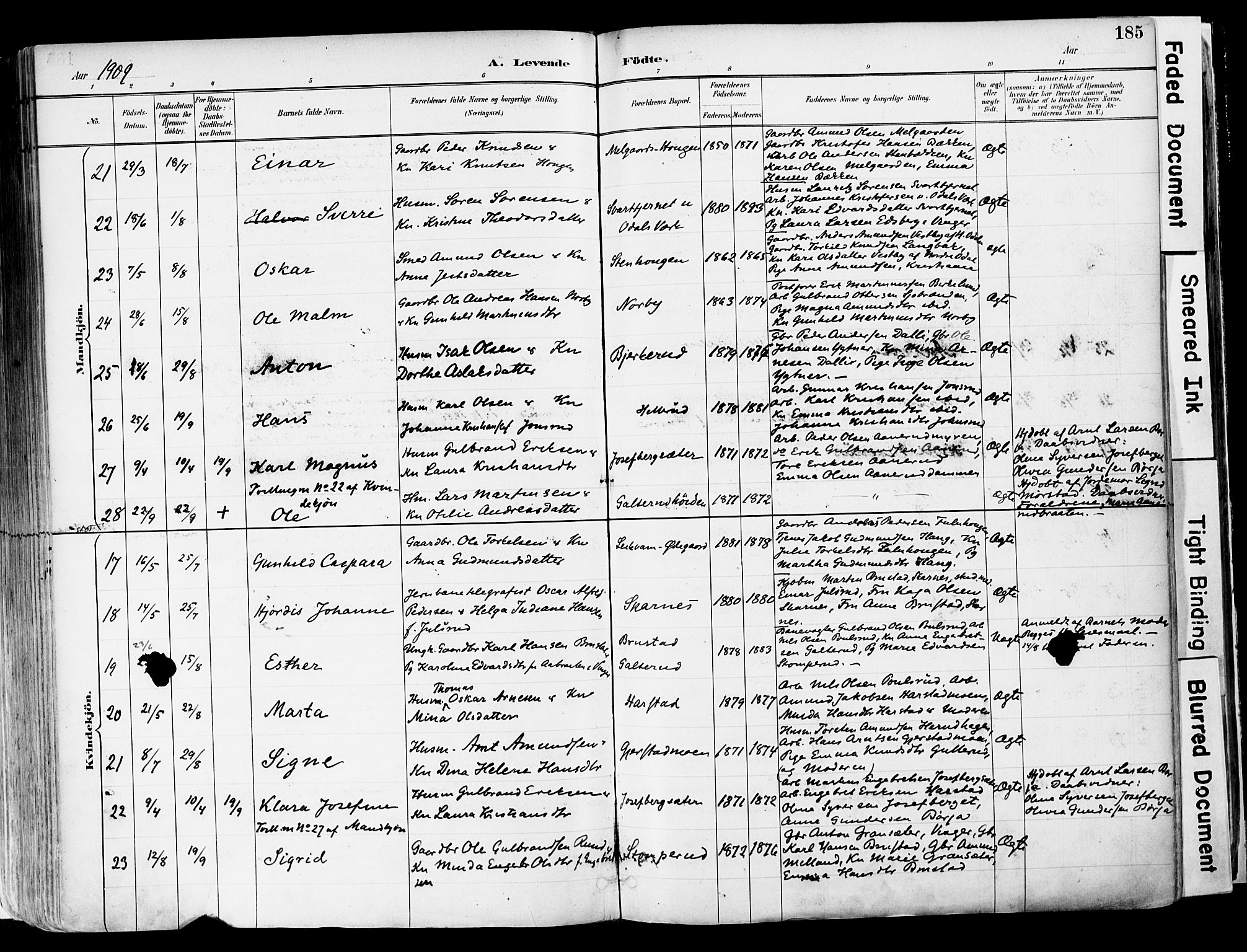 Sør-Odal prestekontor, AV/SAH-PREST-030/H/Ha/Haa/L0006: Parish register (official) no. 6, 1886-1931, p. 185