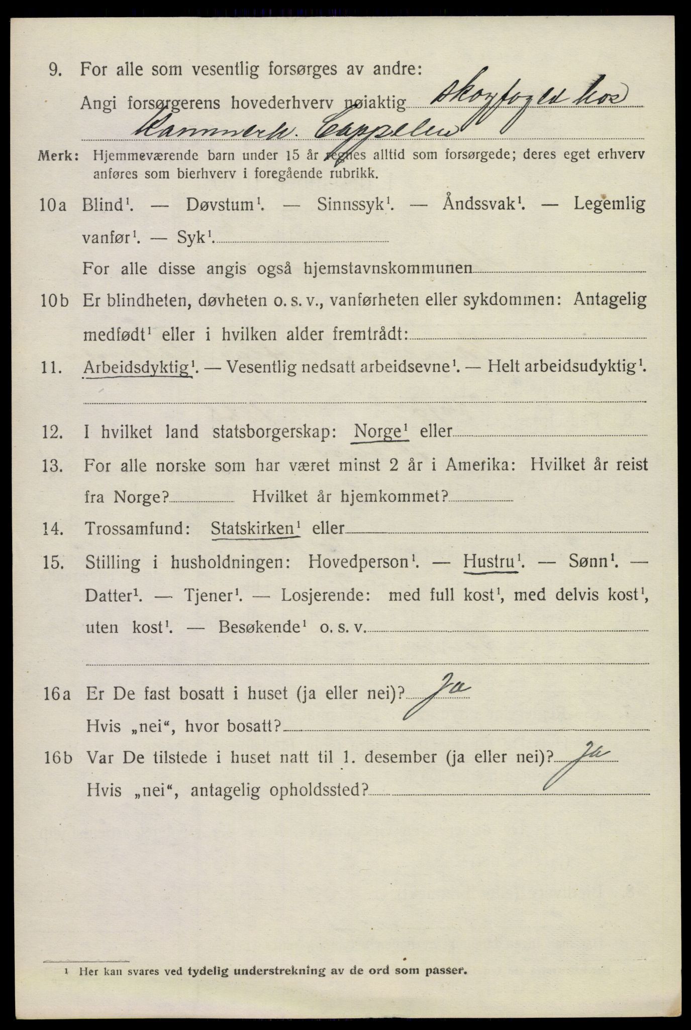 SAKO, 1920 census for Holla, 1920, p. 3612