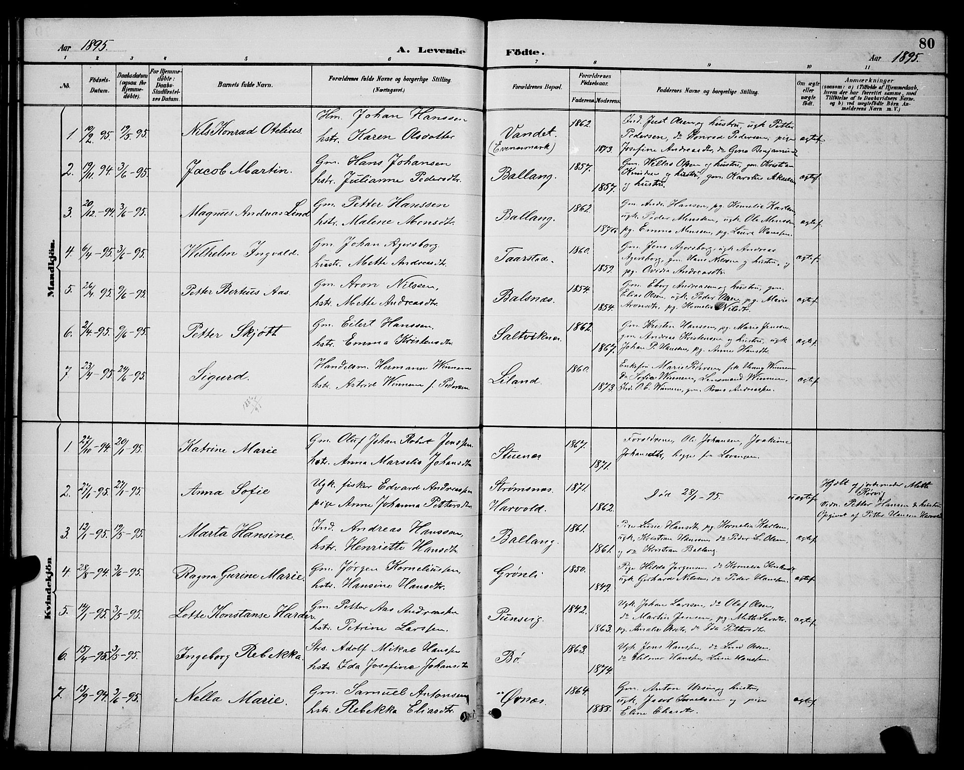 Ministerialprotokoller, klokkerbøker og fødselsregistre - Nordland, SAT/A-1459/863/L0914: Parish register (copy) no. 863C04, 1886-1897, p. 80
