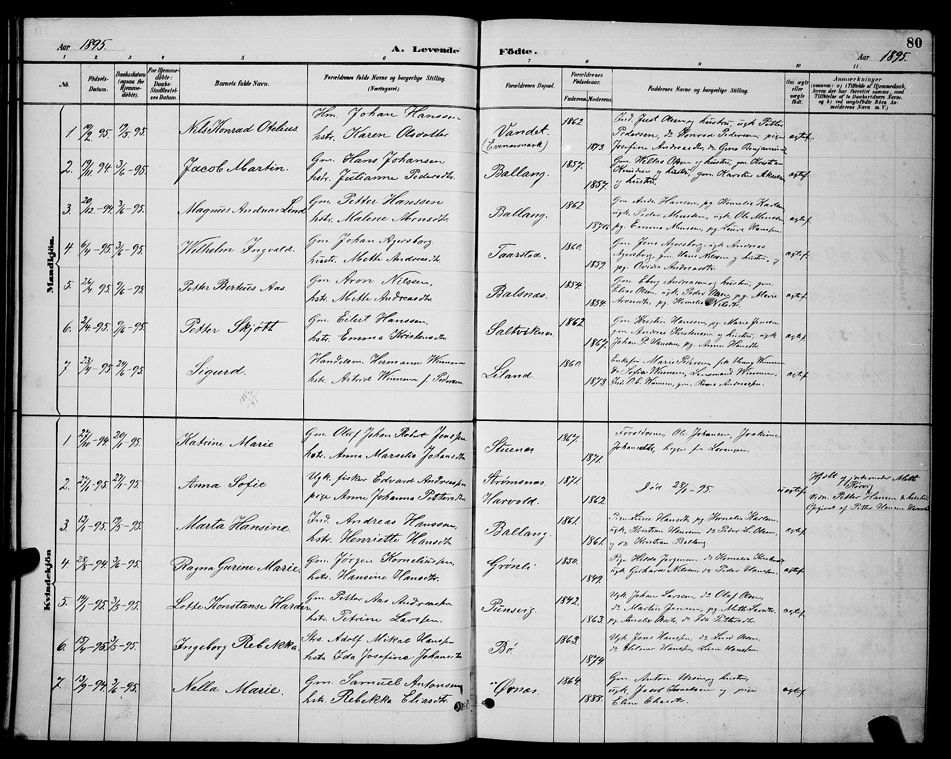 Ministerialprotokoller, klokkerbøker og fødselsregistre - Nordland, AV/SAT-A-1459/863/L0914: Parish register (copy) no. 863C04, 1886-1897, p. 80