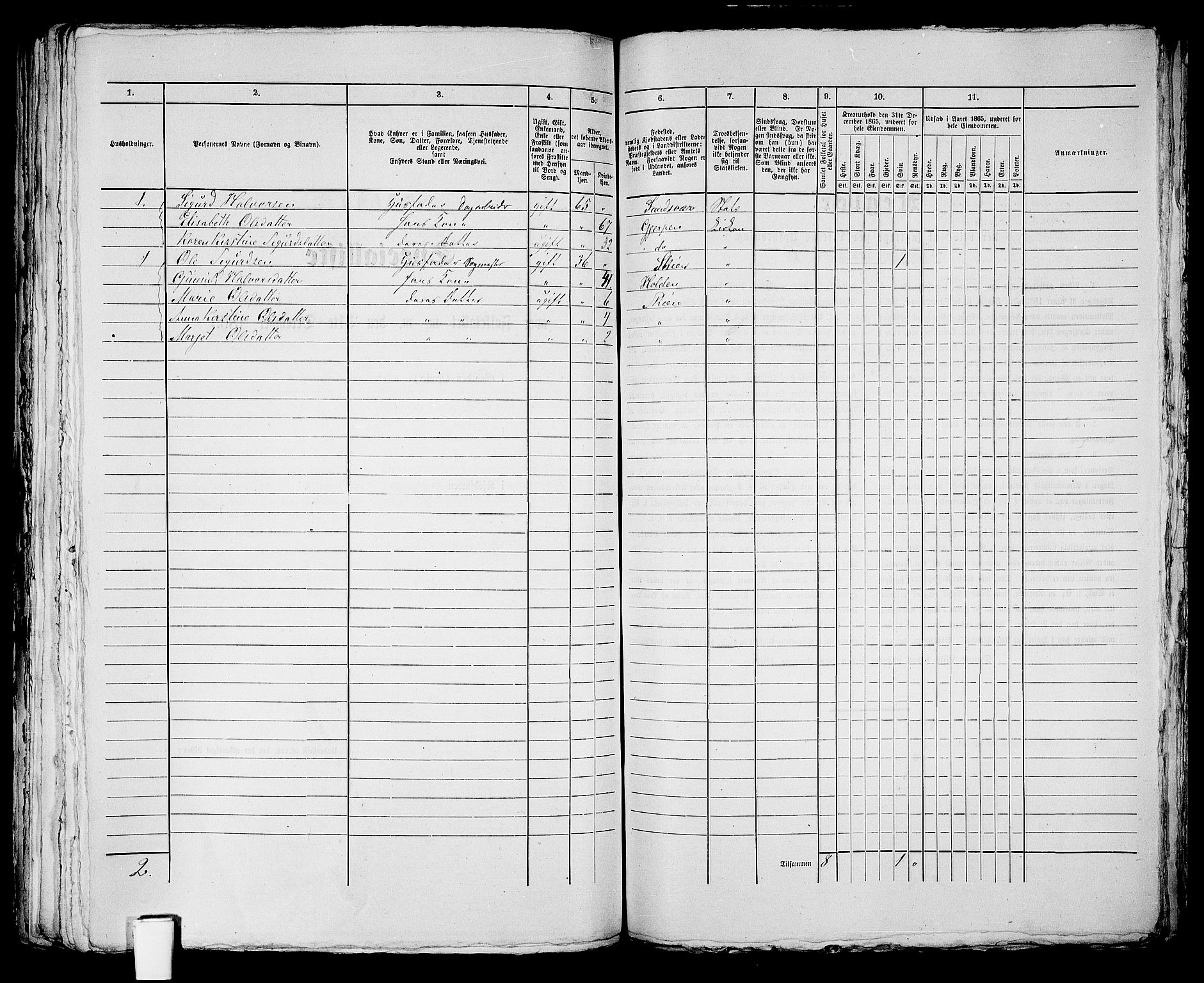 RA, 1865 census for Skien, 1865, p. 1100