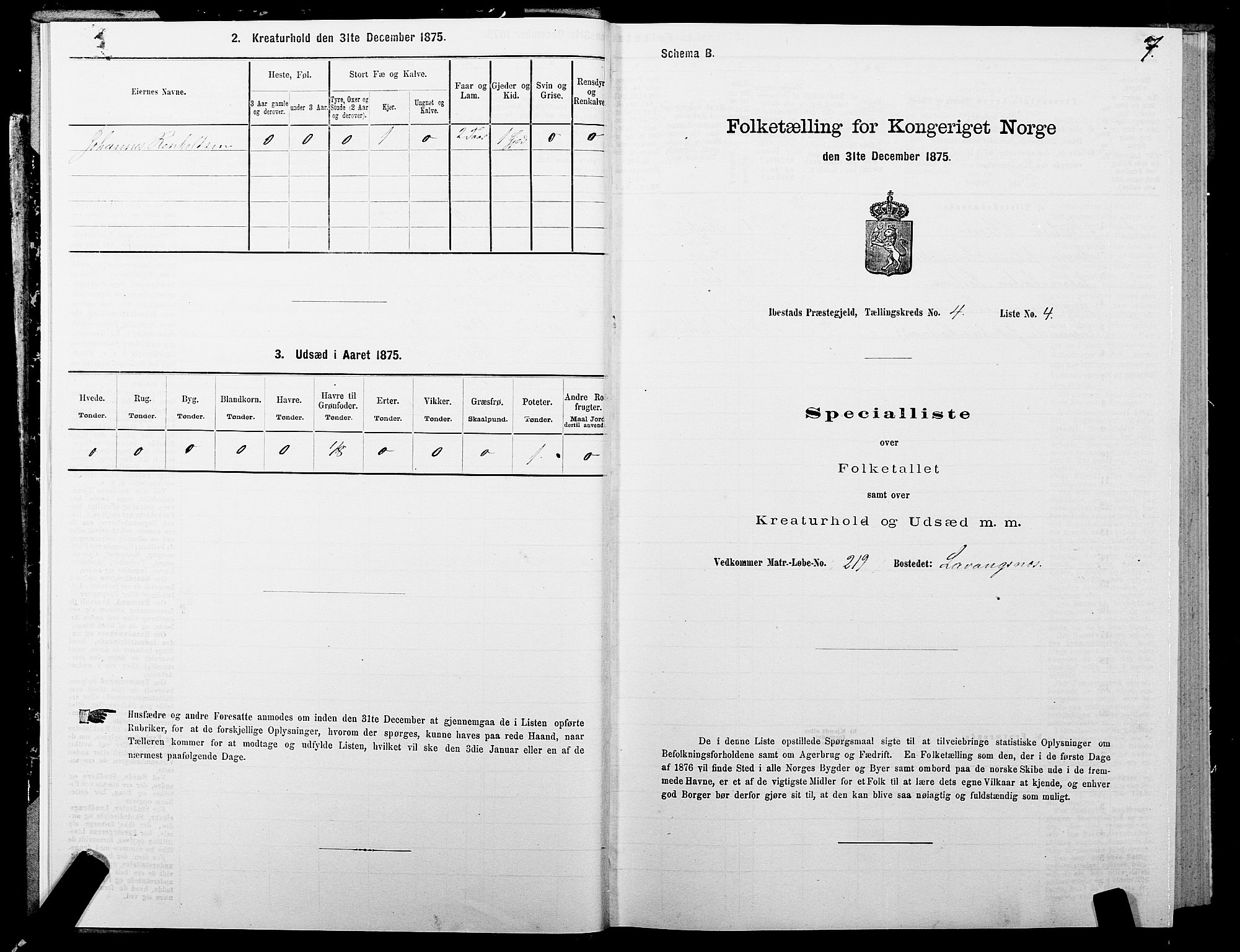 SATØ, 1875 census for 1917P Ibestad, 1875, p. 3007