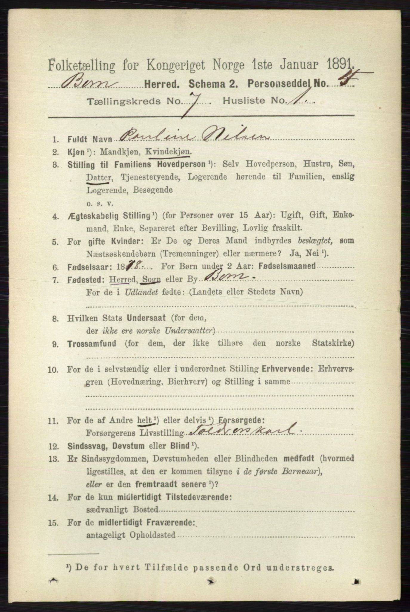 RA, 1891 census for 0717 Borre, 1891, p. 3225