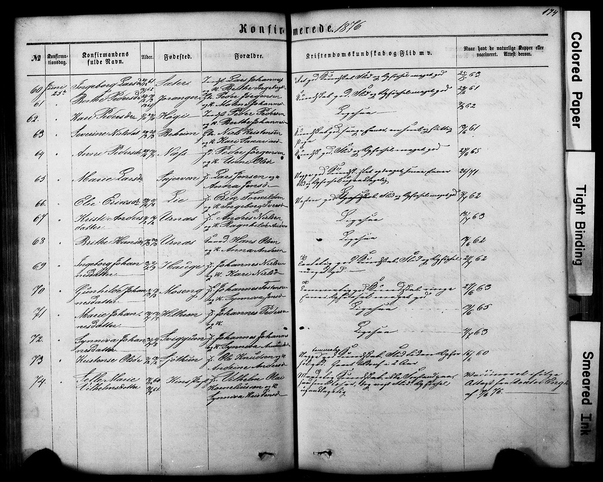 Hafslo sokneprestembete, AV/SAB-A-80301/H/Hab/Haba/L0001: Parish register (copy) no. A 1, 1866-1908, p. 174