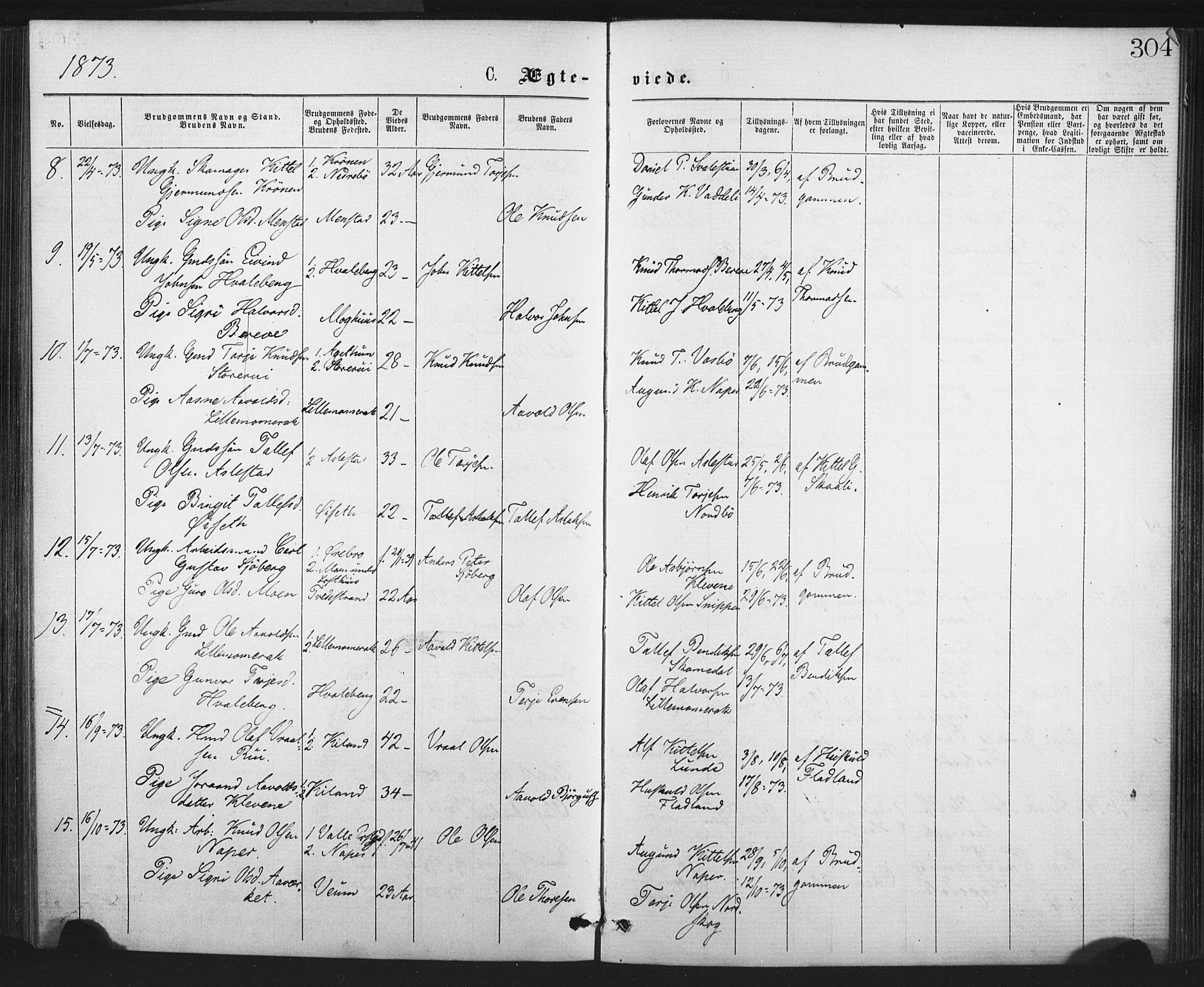 Fyresdal kirkebøker, SAKO/A-263/F/Fa/L0006: Parish register (official) no. I 6, 1872-1886, p. 304