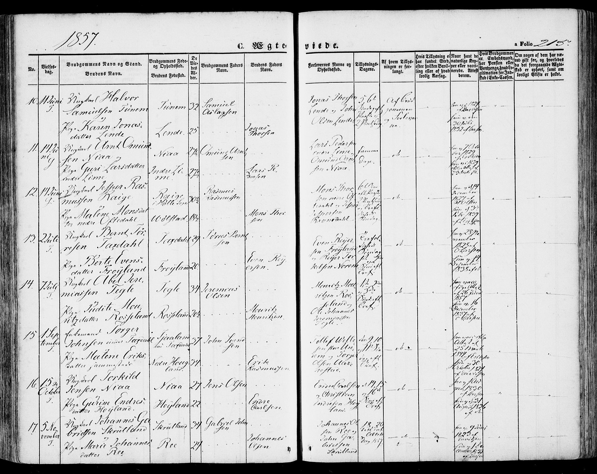 Lye sokneprestkontor, SAST/A-101794/001/30BA/L0007: Parish register (official) no. A 6, 1856-1871, p. 215